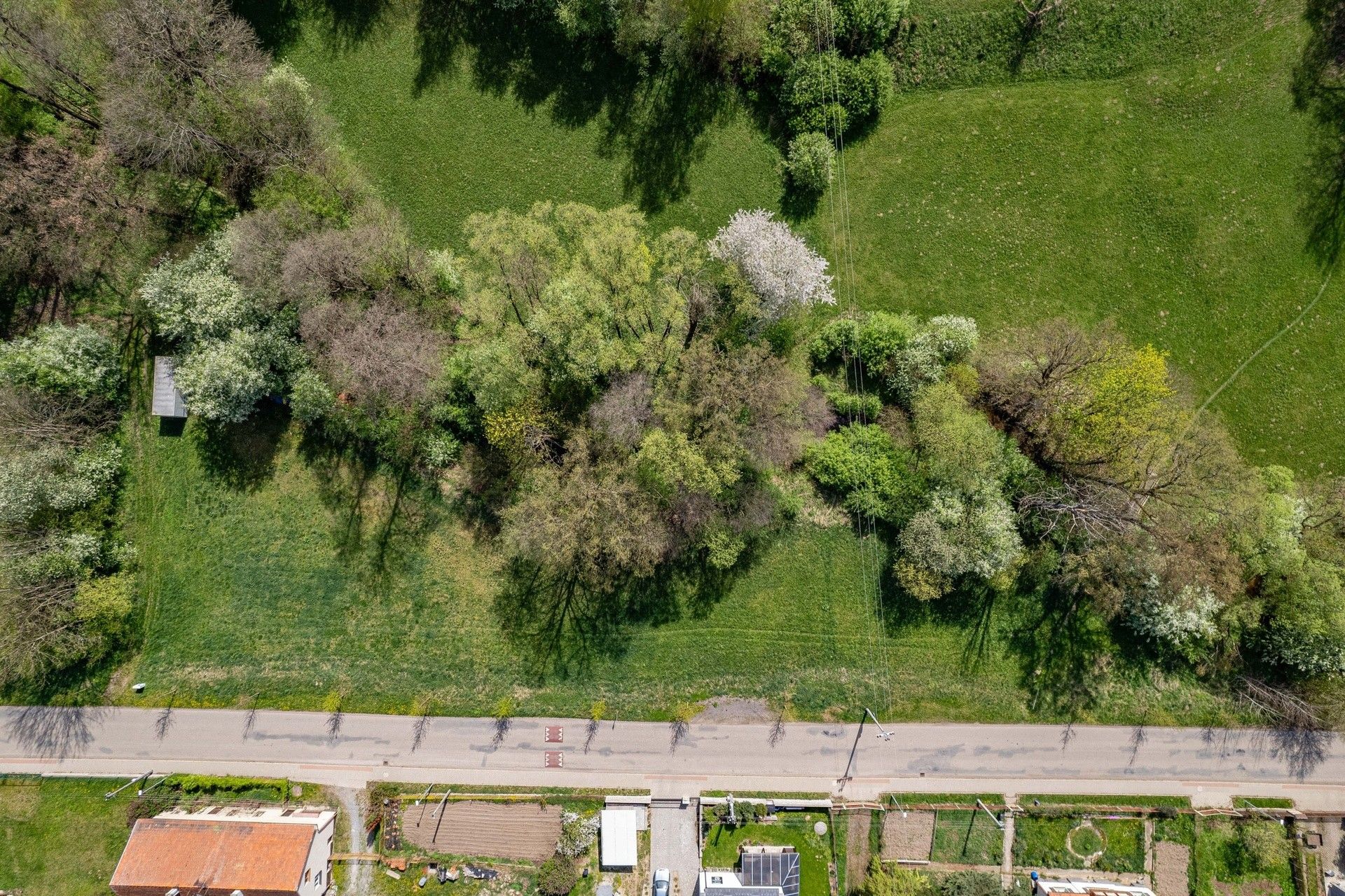 Prodej pozemku 979 m² - foto 4