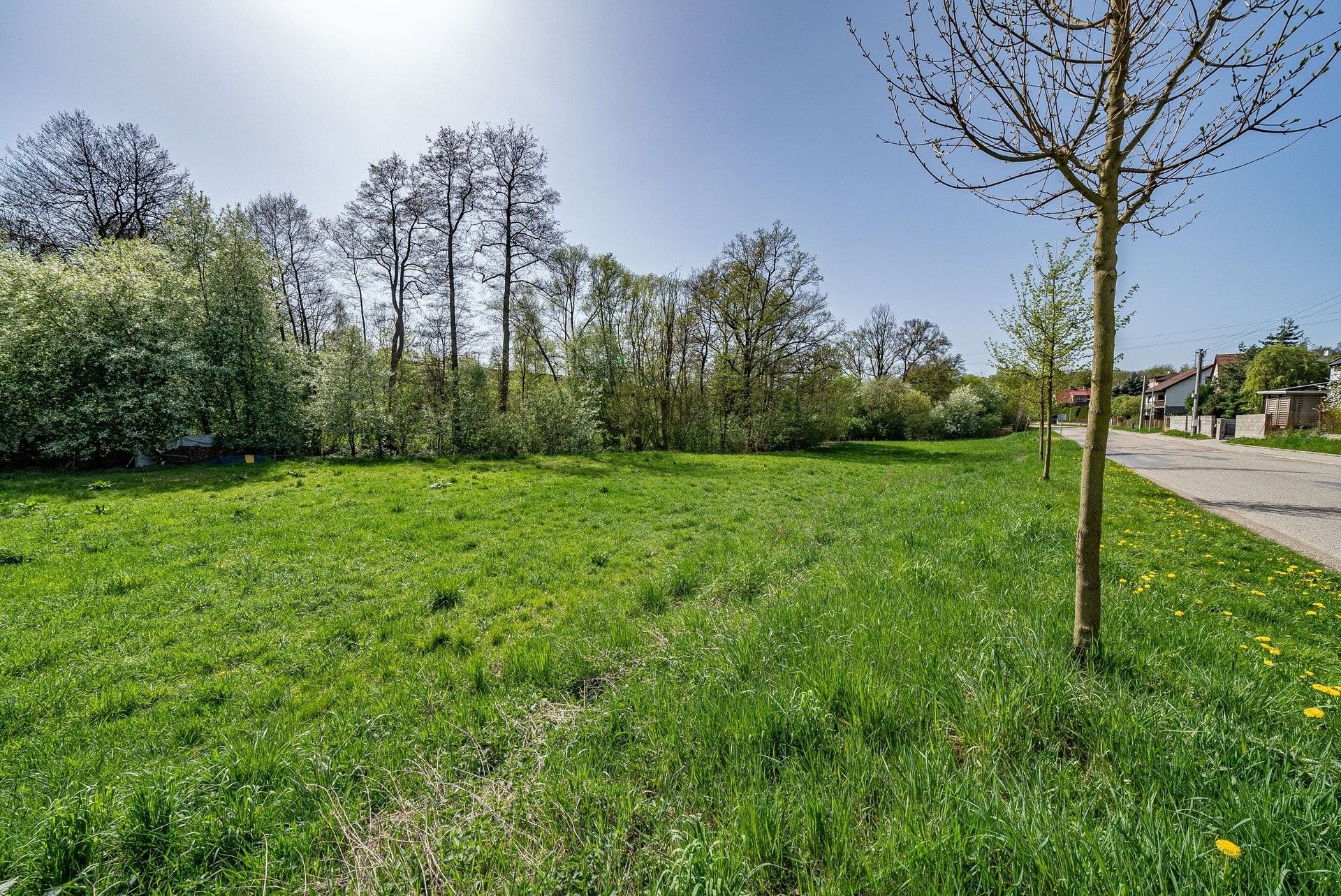 Prodej pozemku 979 m² - foto 5