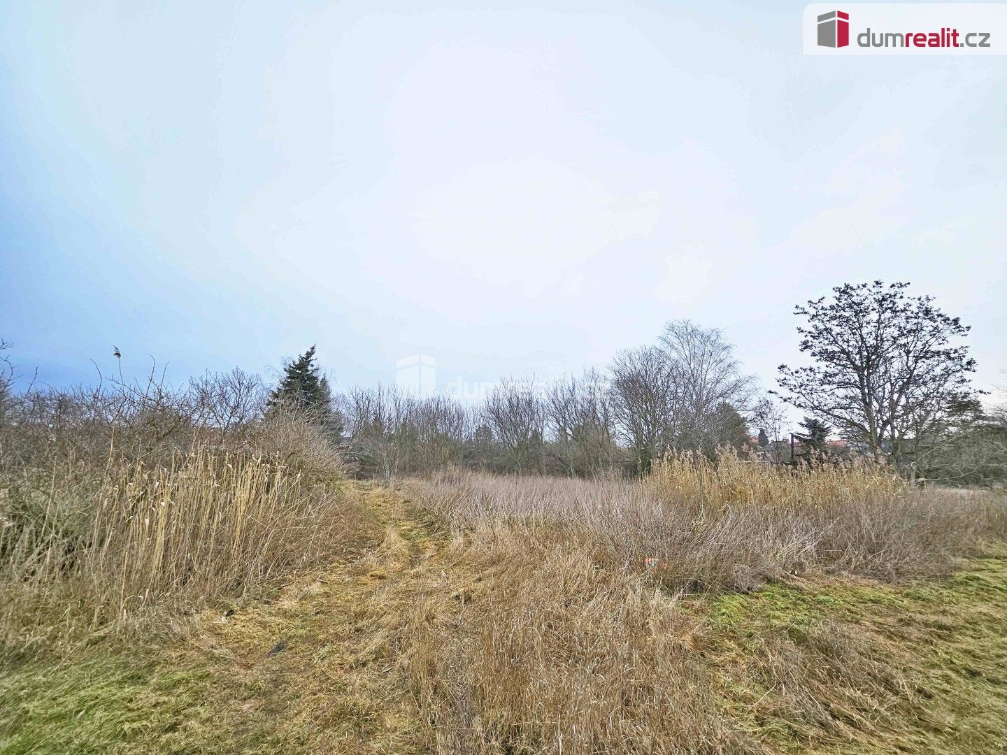 Prodej pozemku 1549 m² - foto 6