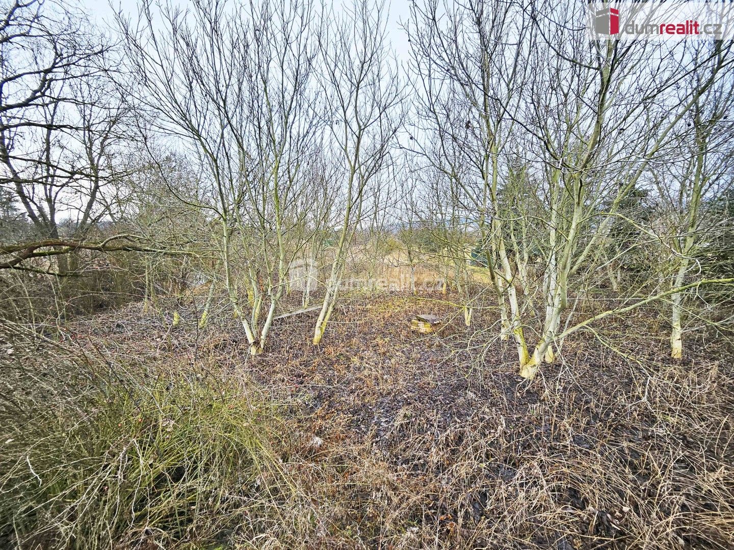 Prodej pozemku 1549 m² - foto 2