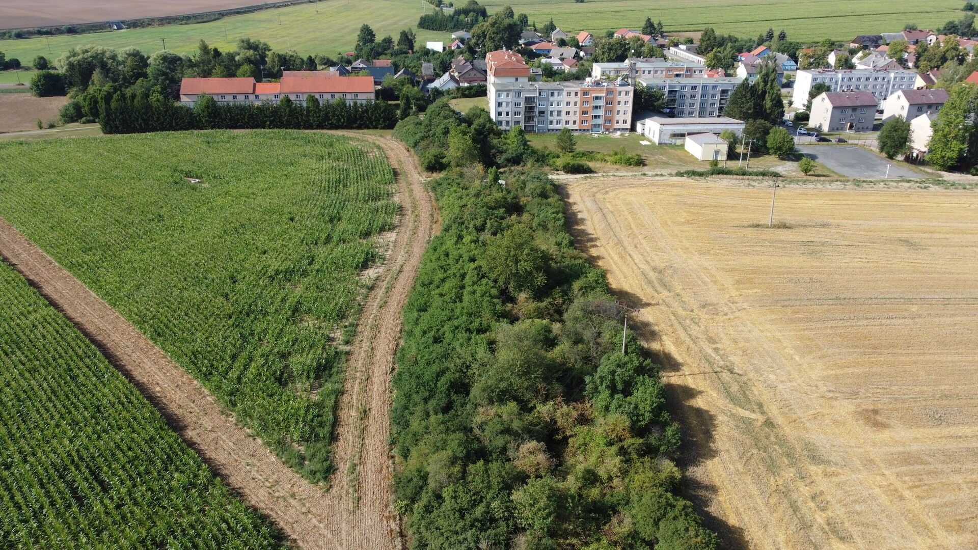 Prodej pozemku 6167 m² - foto 2