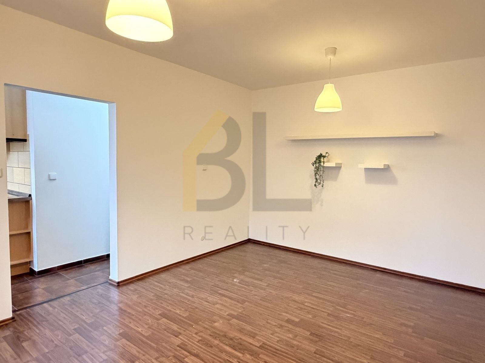 Pronájem bytu 2+1 47 m² - foto 5