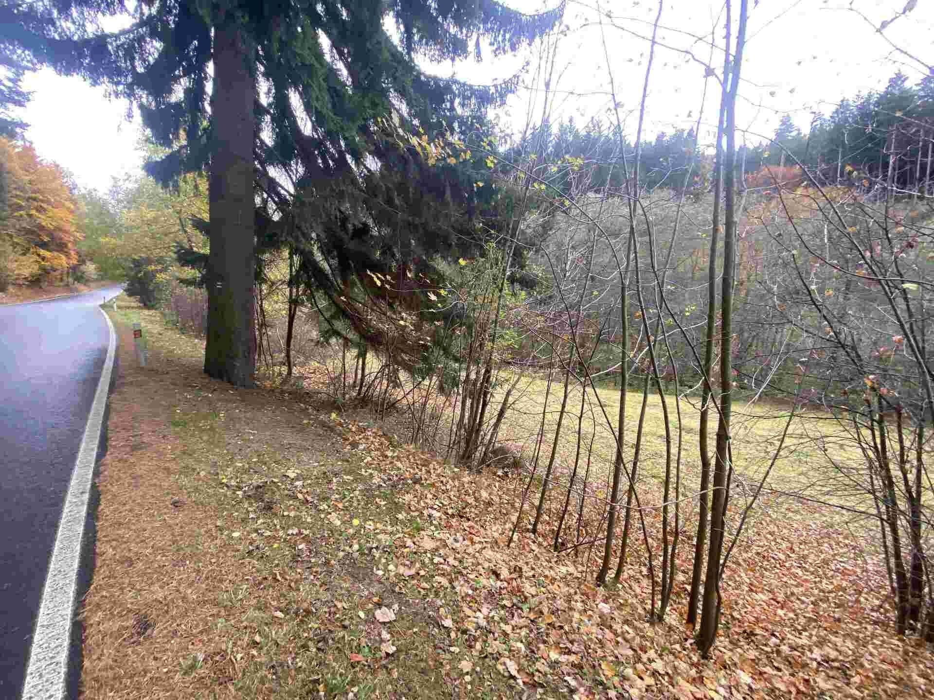 Prodej nemovitosti 1223 m² - foto 2