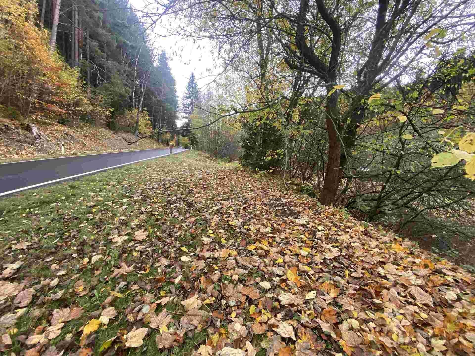 Prodej nemovitosti 1223 m² - foto 1