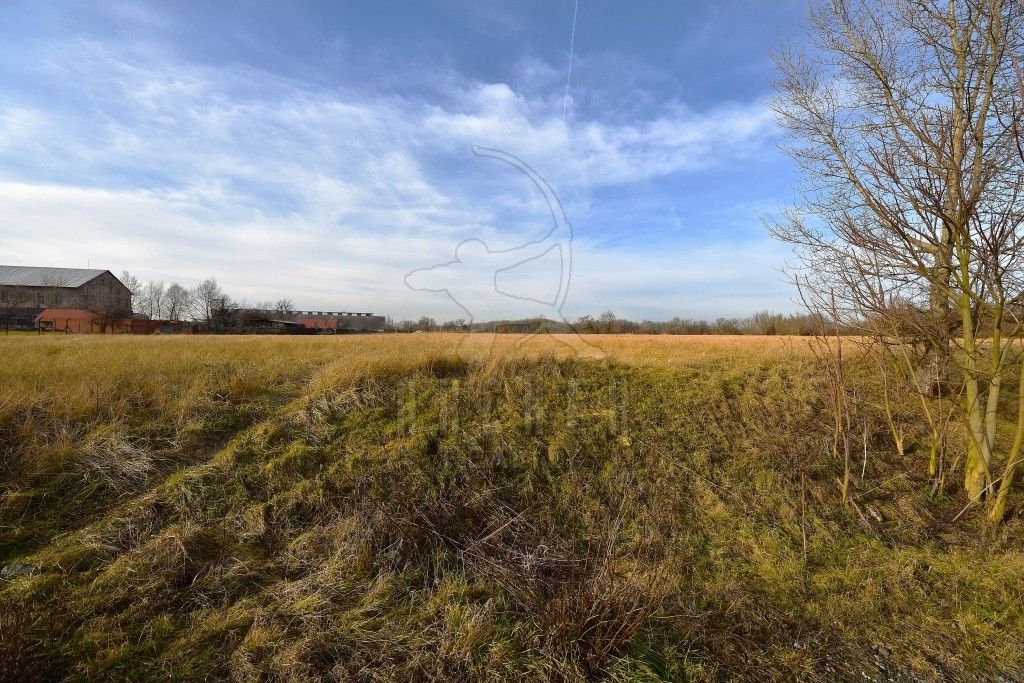 Prodej pozemku 80085 m² - foto 6