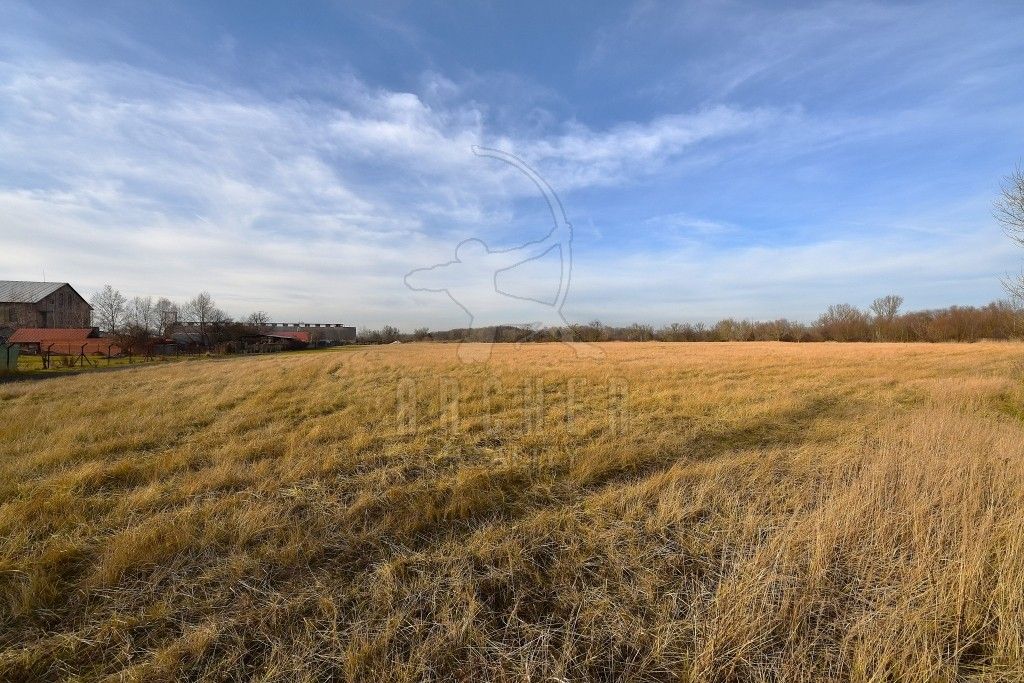 Prodej pozemku 80085 m² - foto 8