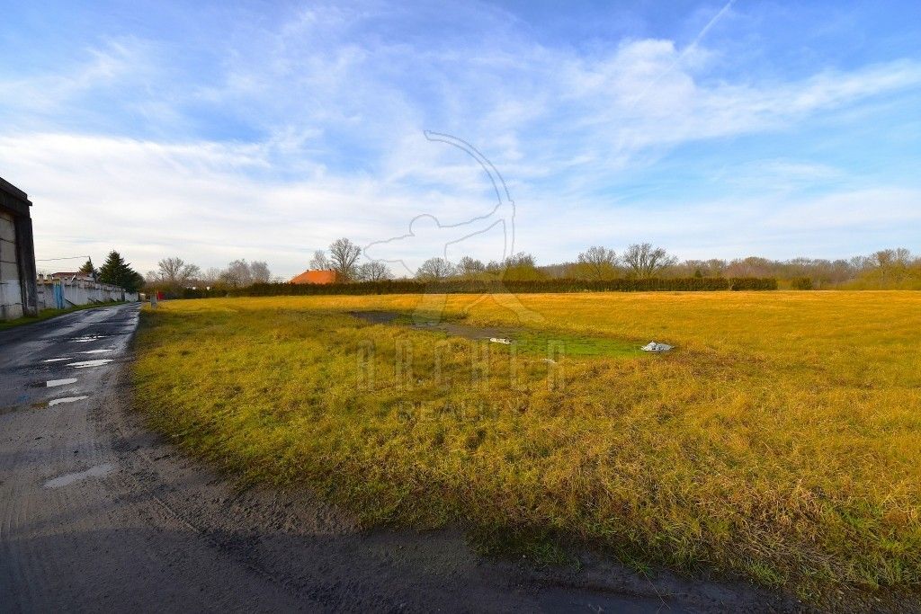 Prodej pozemku 80085 m² - foto 10