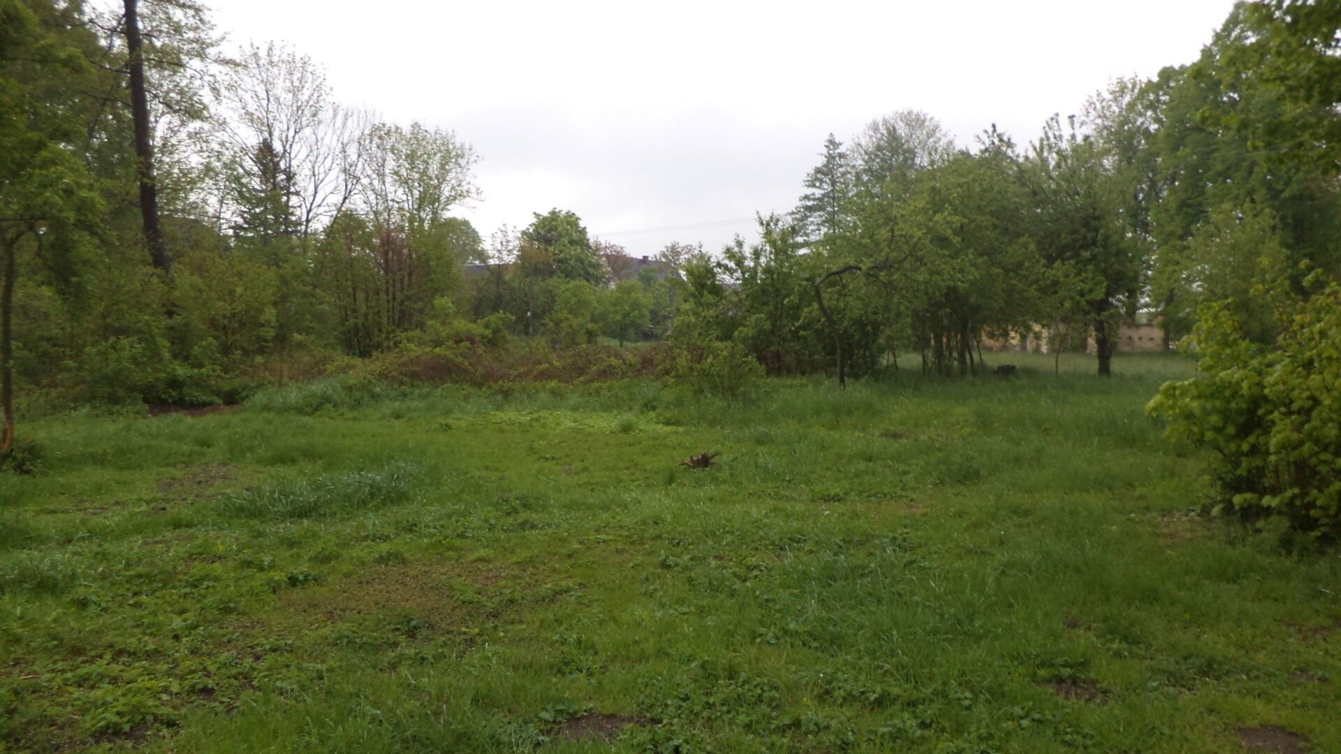 Prodej nemovitosti 1387 m² - foto 1