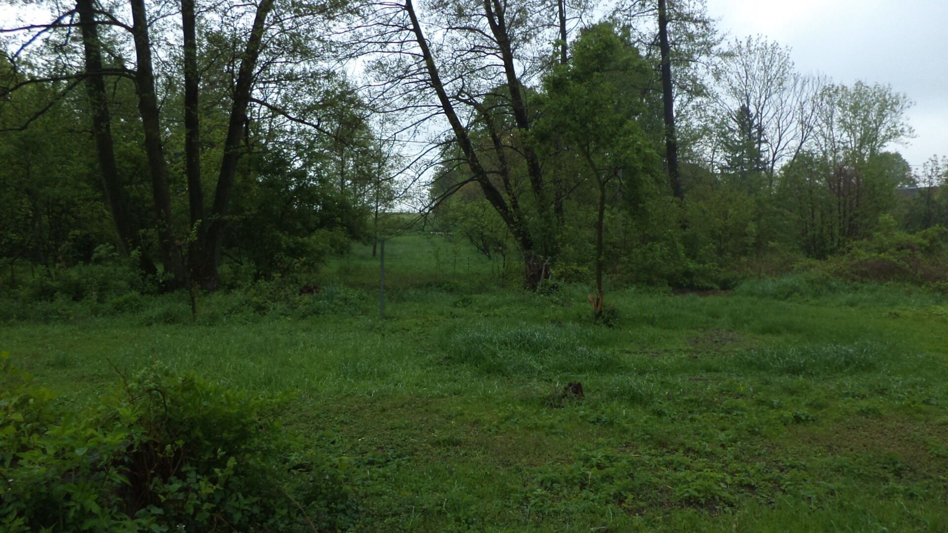 Prodej nemovitosti 1387 m² - foto 2