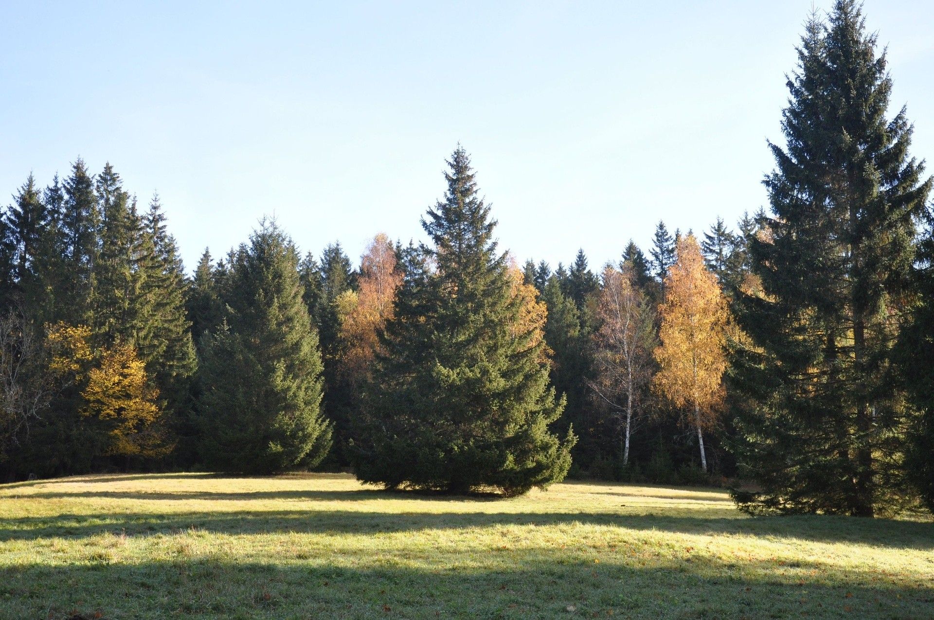 Prodej bytu 2+kk 35 m² - foto 16