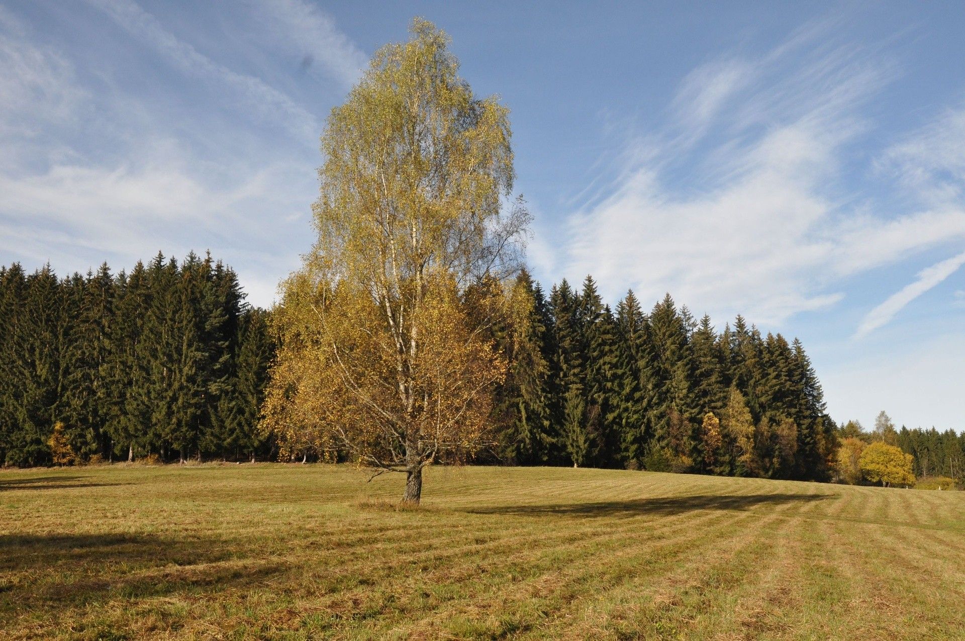 Prodej bytu 2+kk 35 m² - foto 20