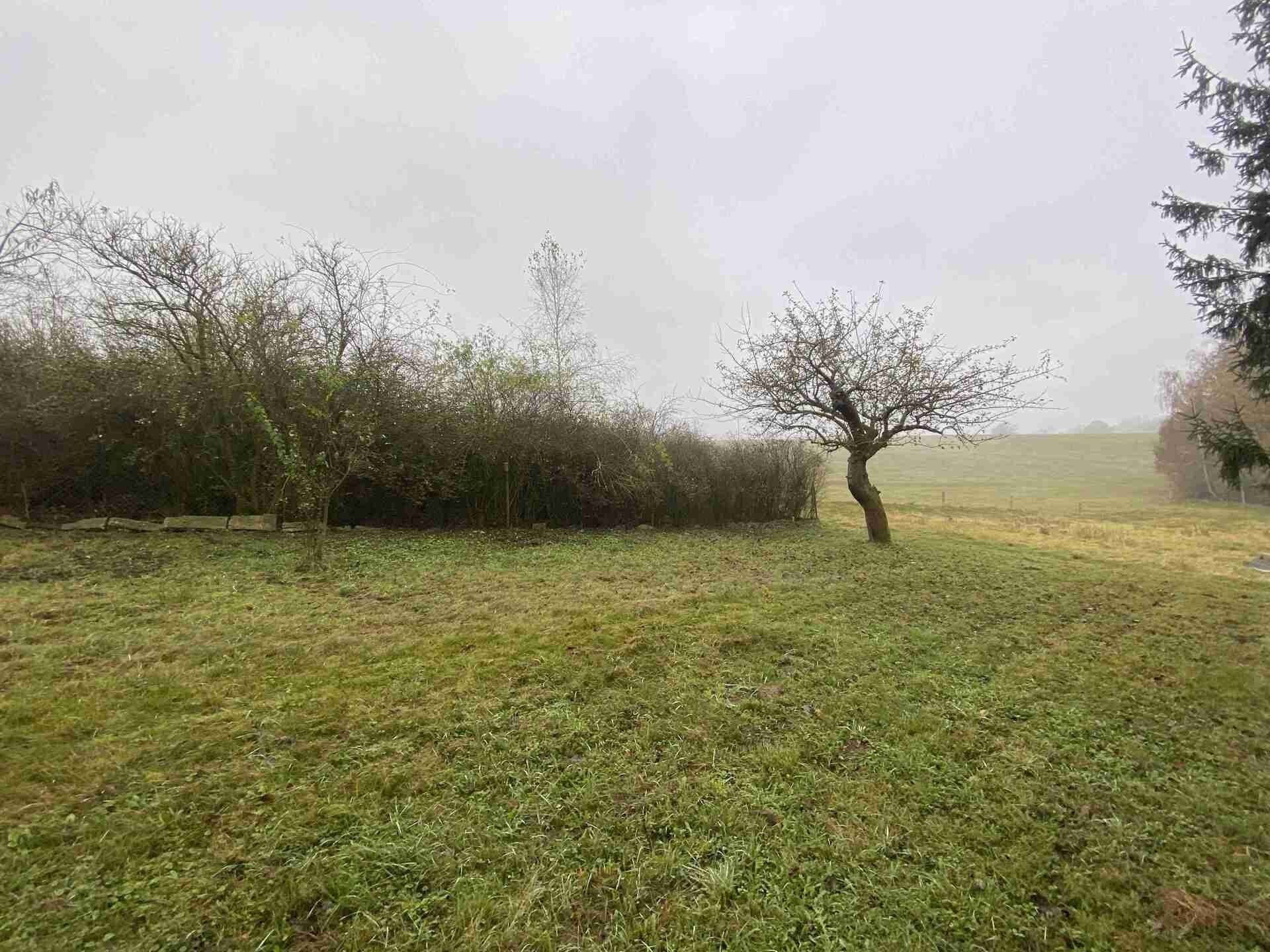 Prodej nemovitosti 566 m² - foto 7