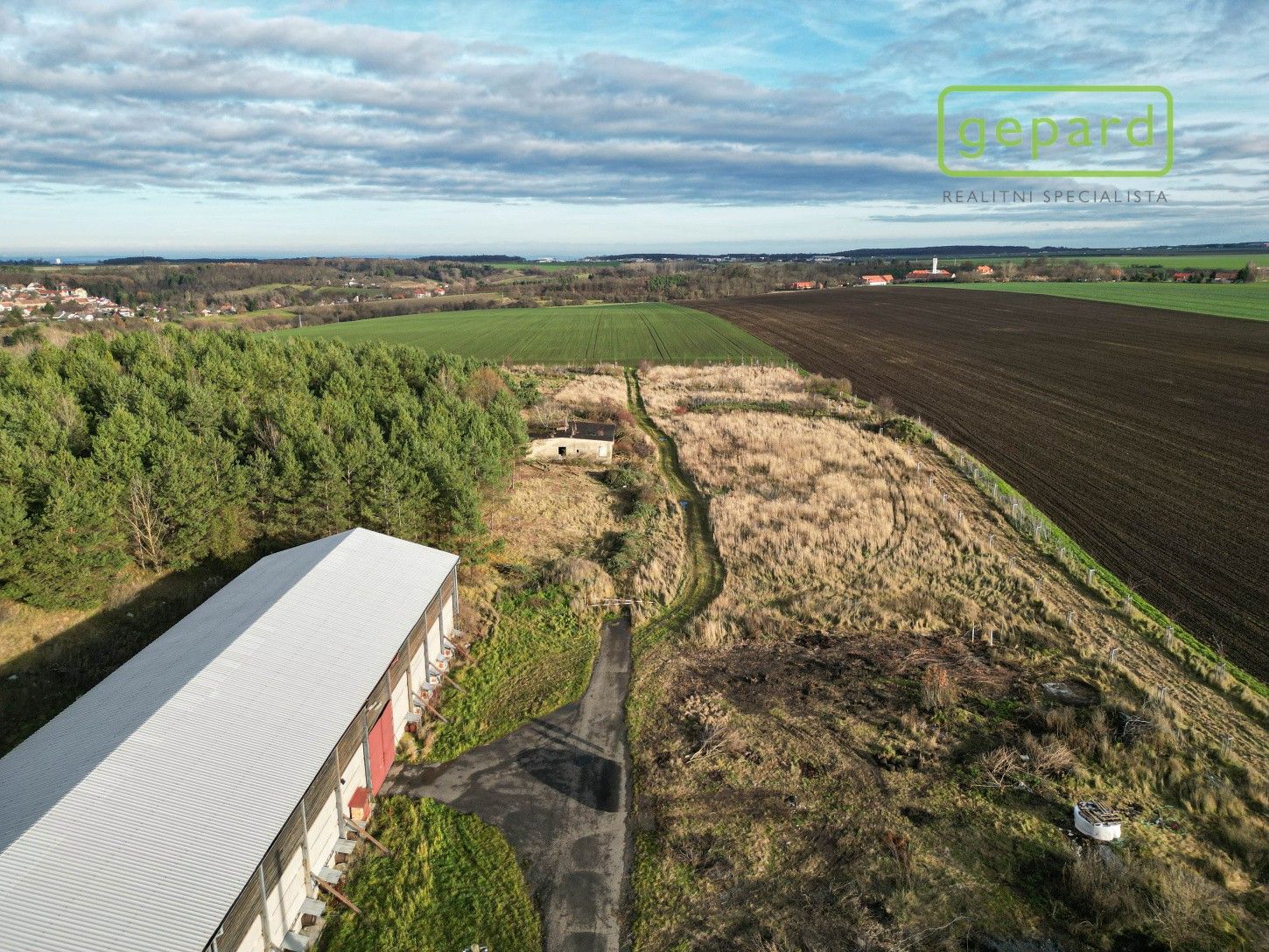 Pronájem pozemku 8000 m² - foto 5