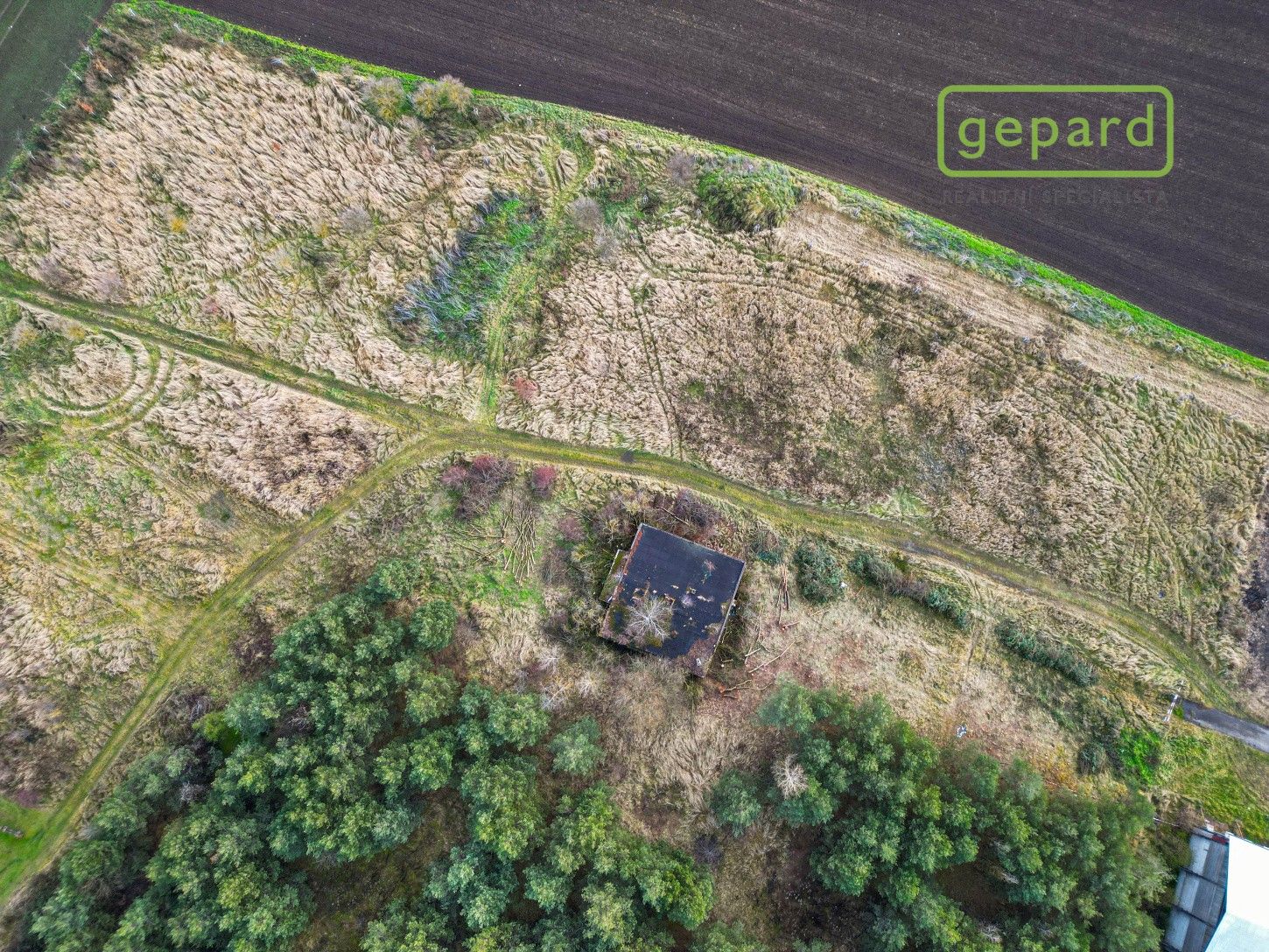 Pronájem pozemku 8000 m² - foto 6