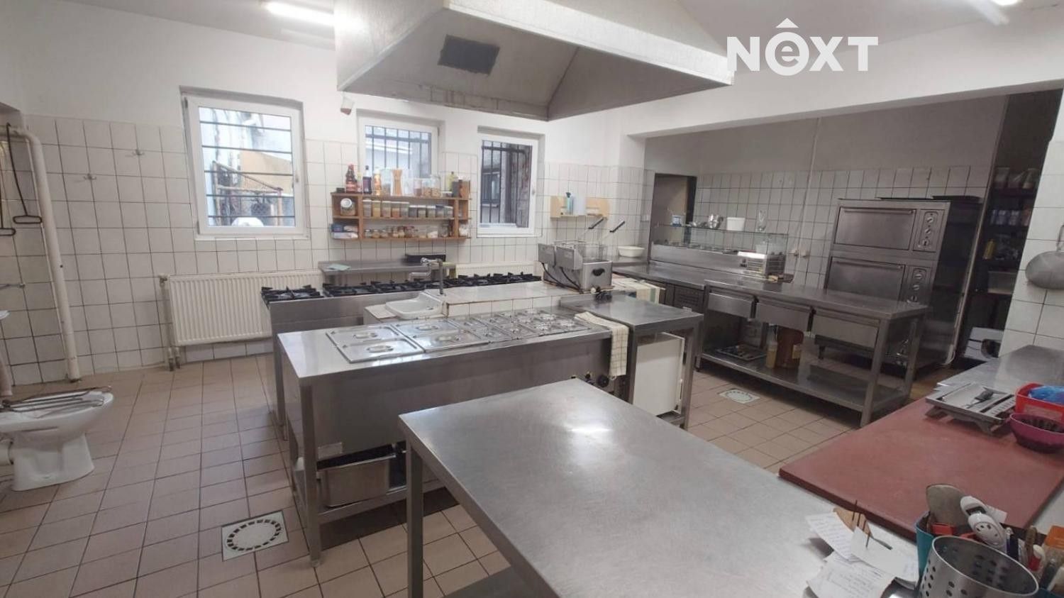 Prodej nemovitosti 1100 m² - foto 16