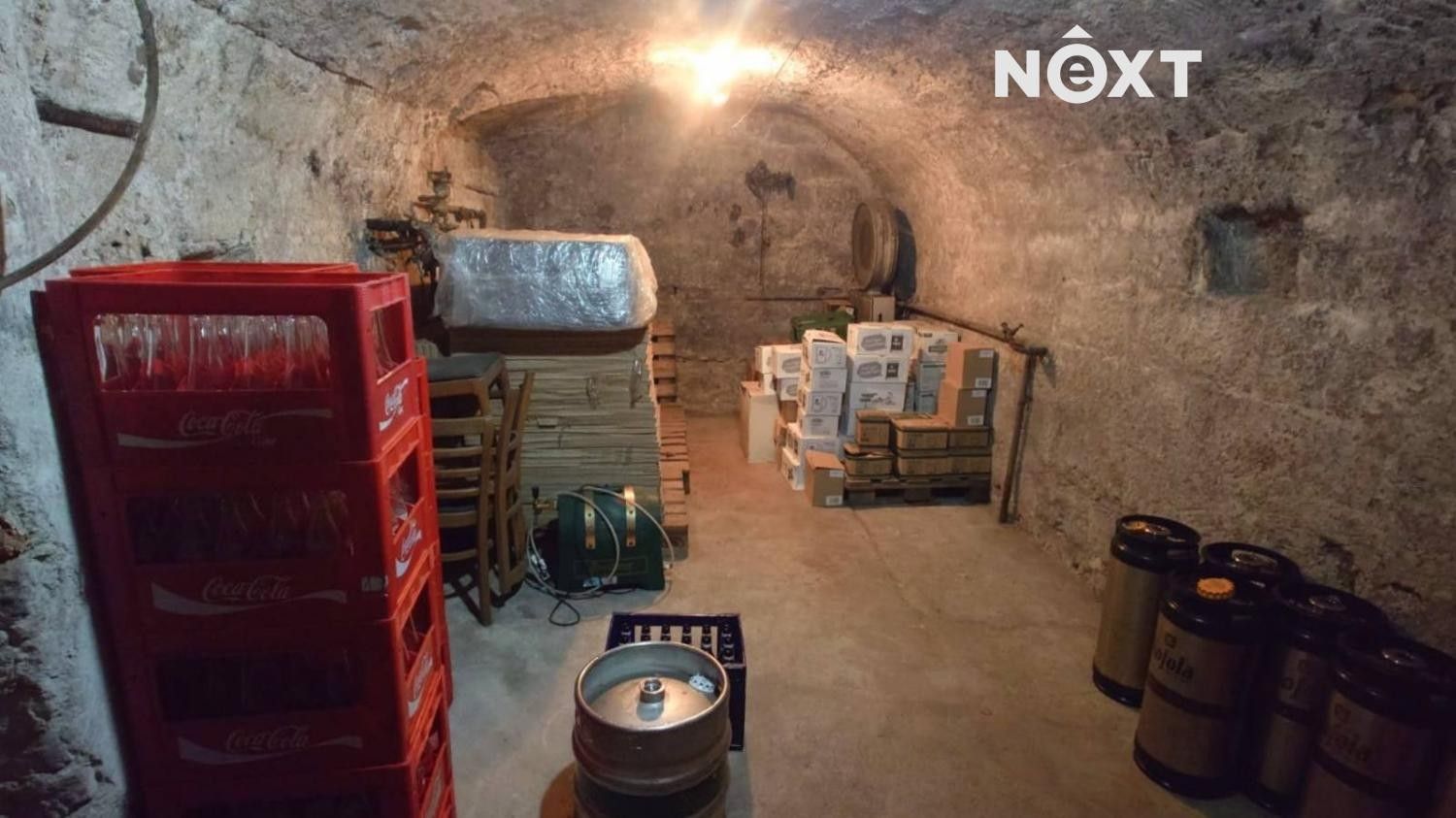 Prodej nemovitosti 1100 m² - foto 19