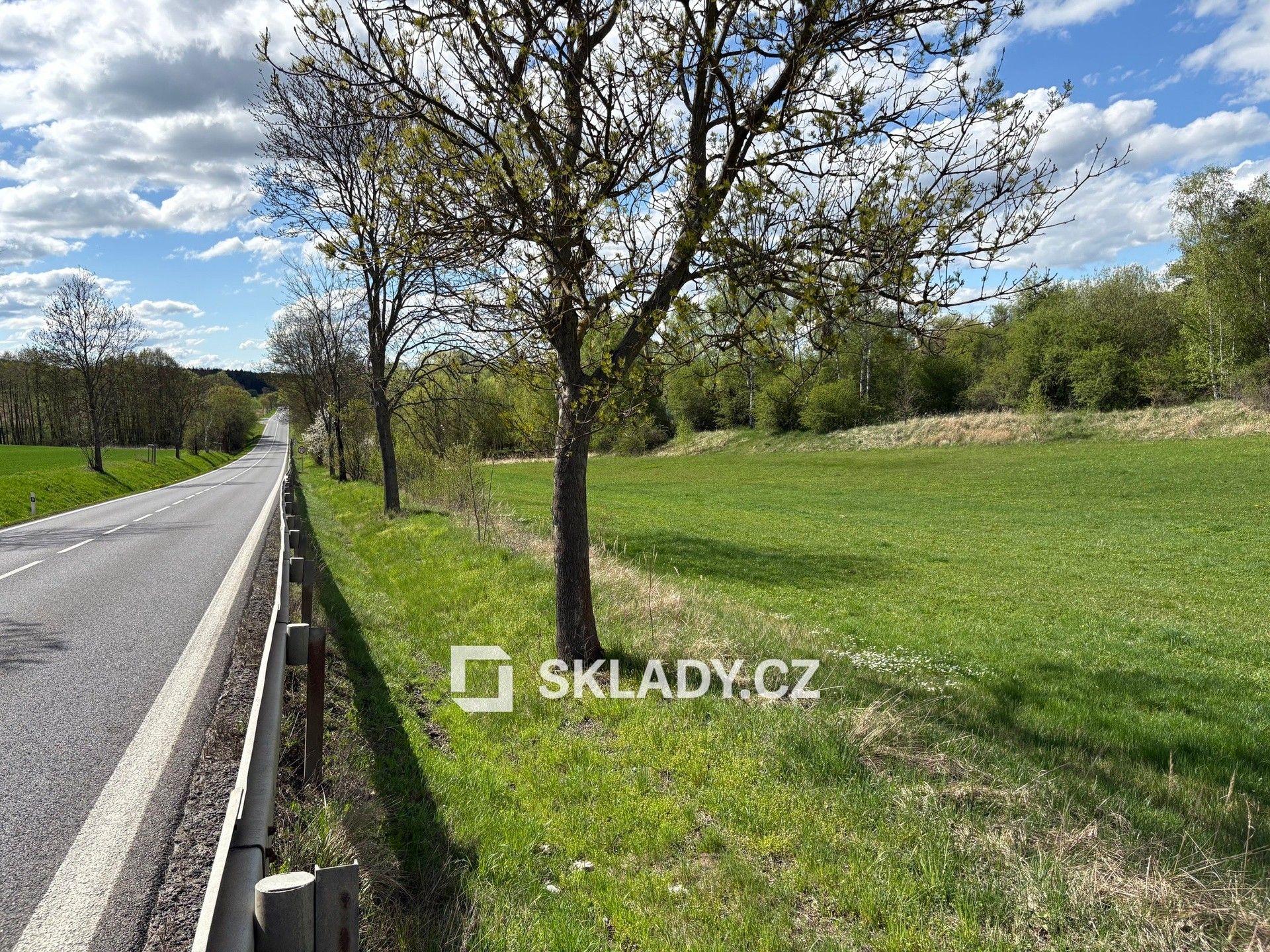 Prodej pozemku 13700 m² - foto 6