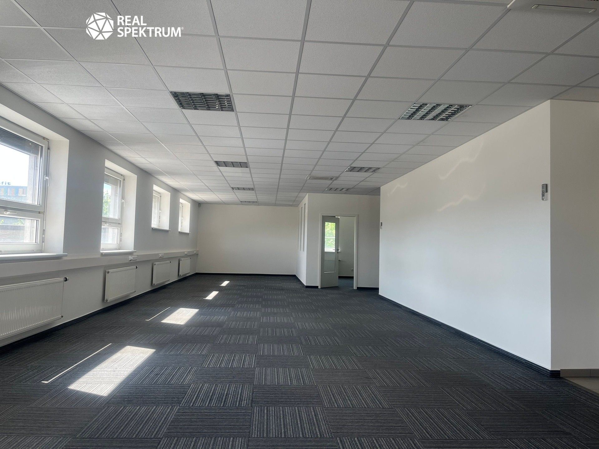 Pronájem komerčního prostoru 950 m² - foto 8