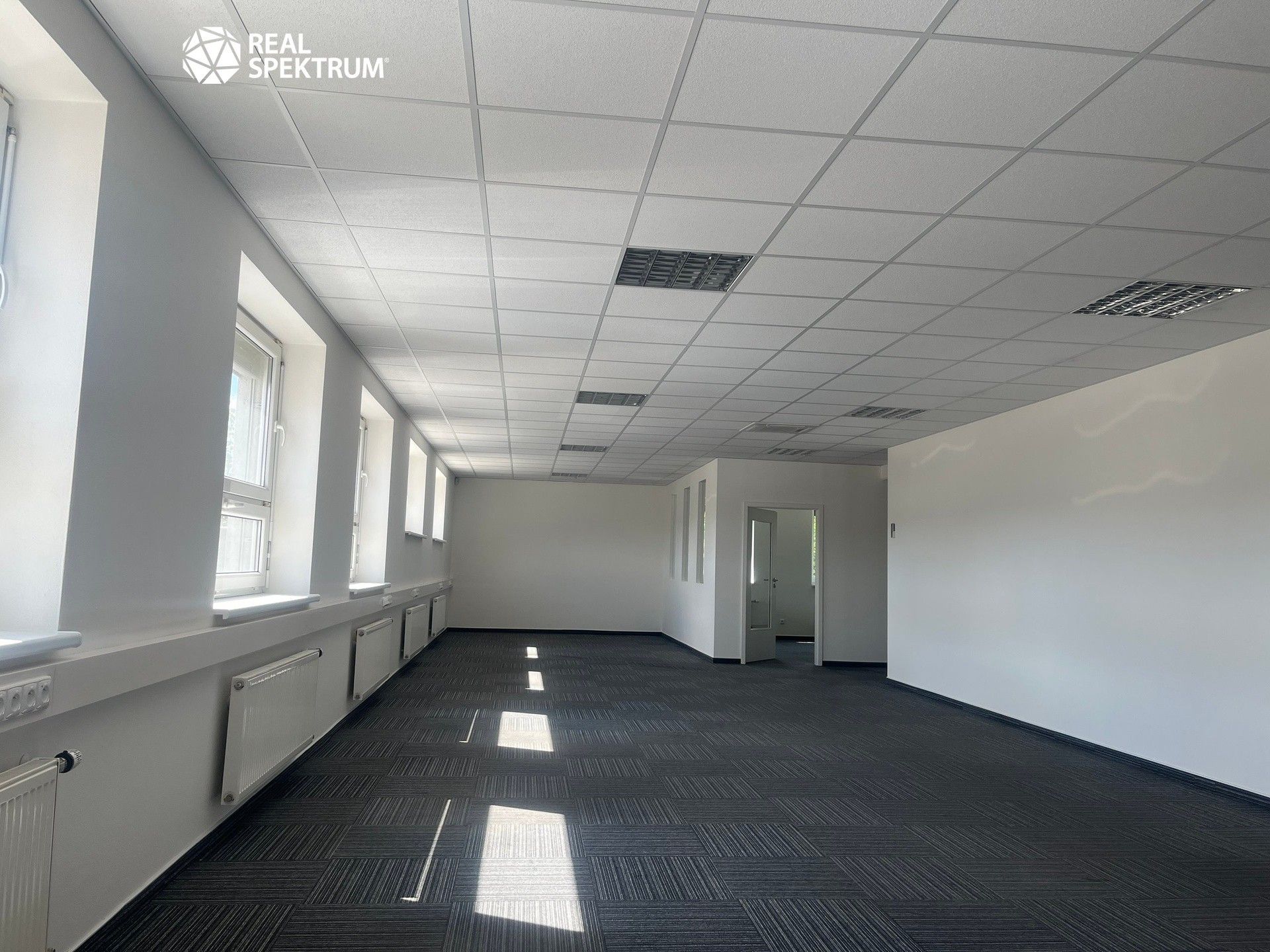 Pronájem komerčního prostoru 950 m² - foto 4