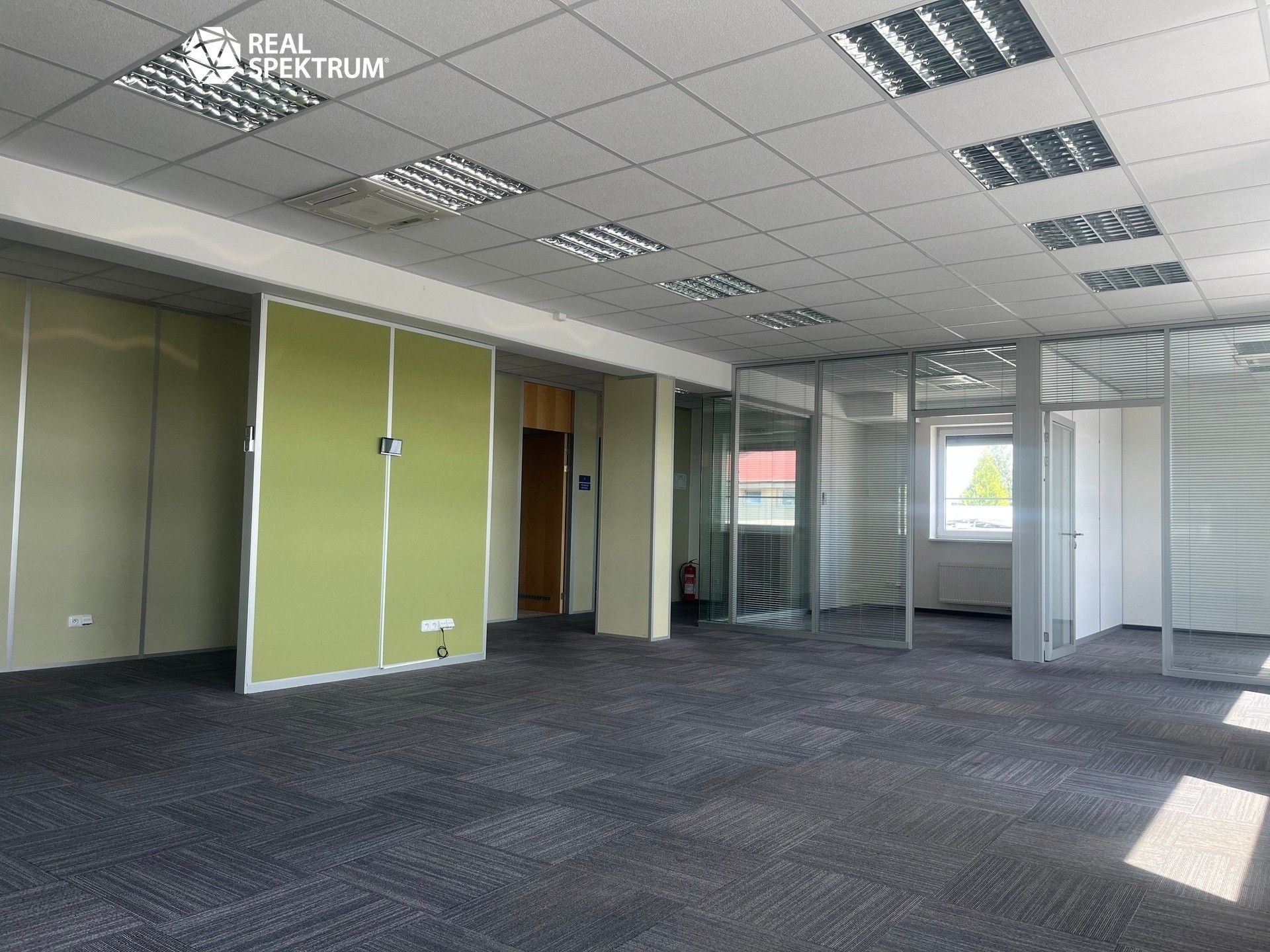 Pronájem komerčního prostoru 950 m² - foto 5