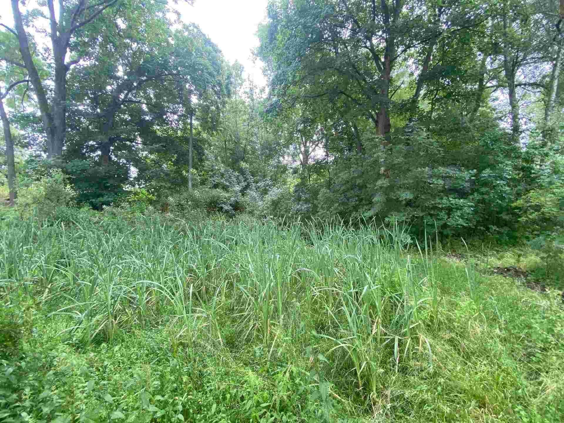 Prodej nemovitosti 1993 m² - foto 3
