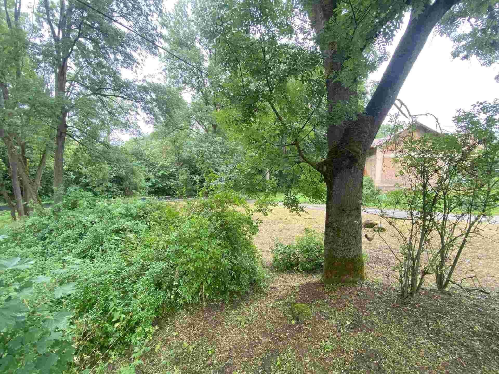 Prodej nemovitosti 1993 m² - foto 4