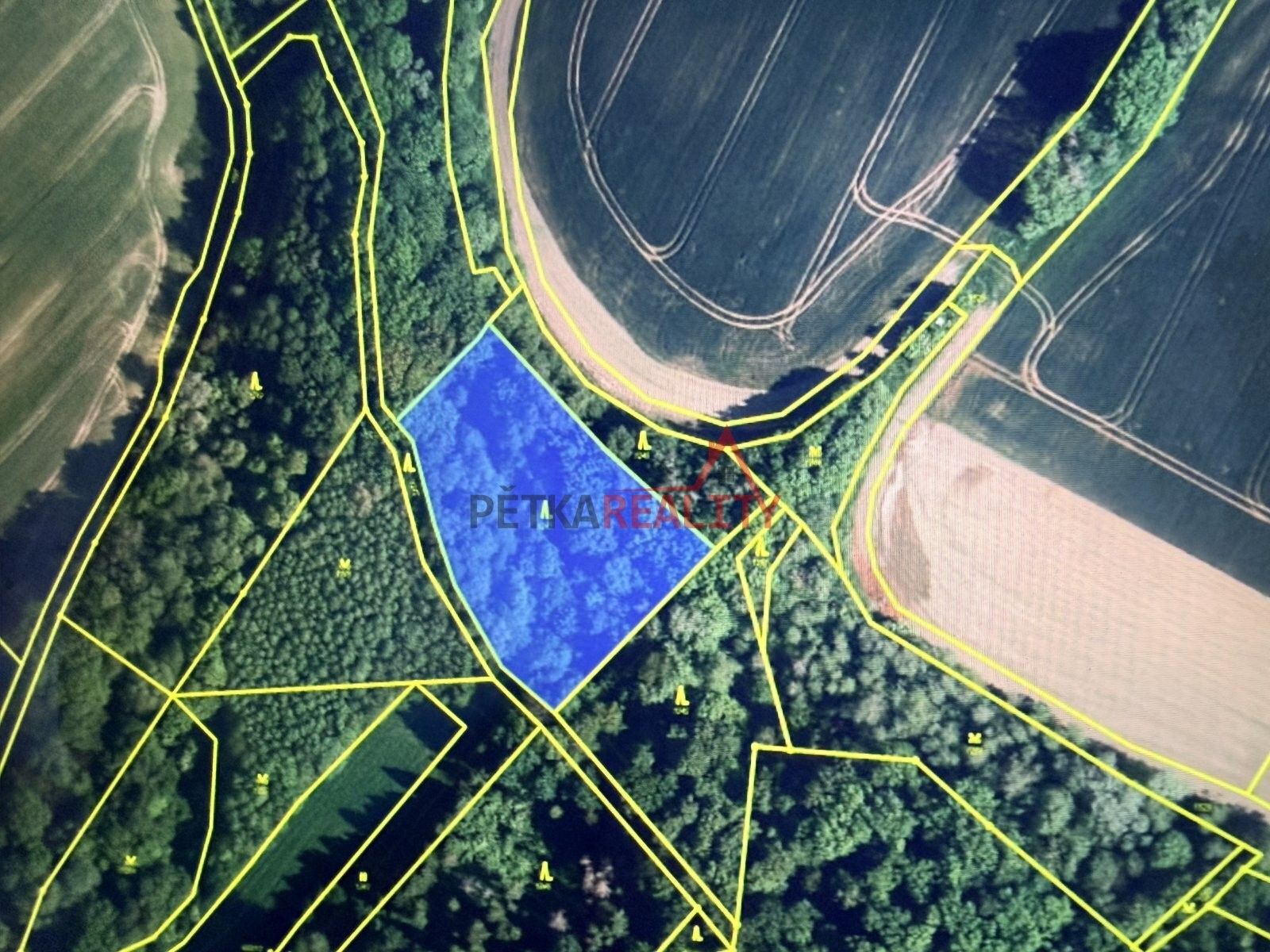 Prodej pozemku 4700 m² - foto 3