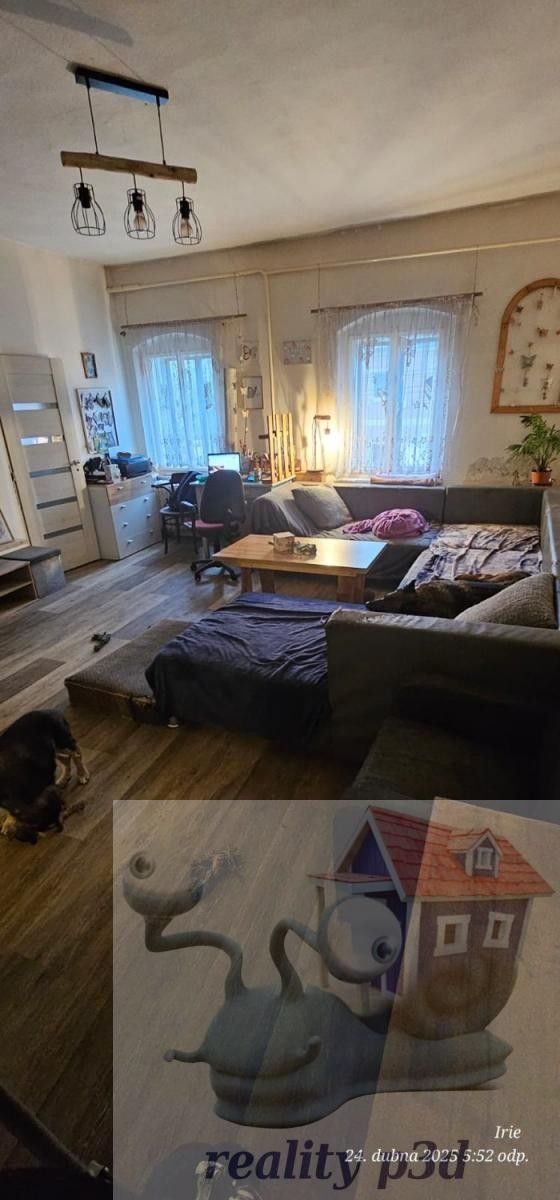 Prodej nemovitosti 409 m² - foto 13