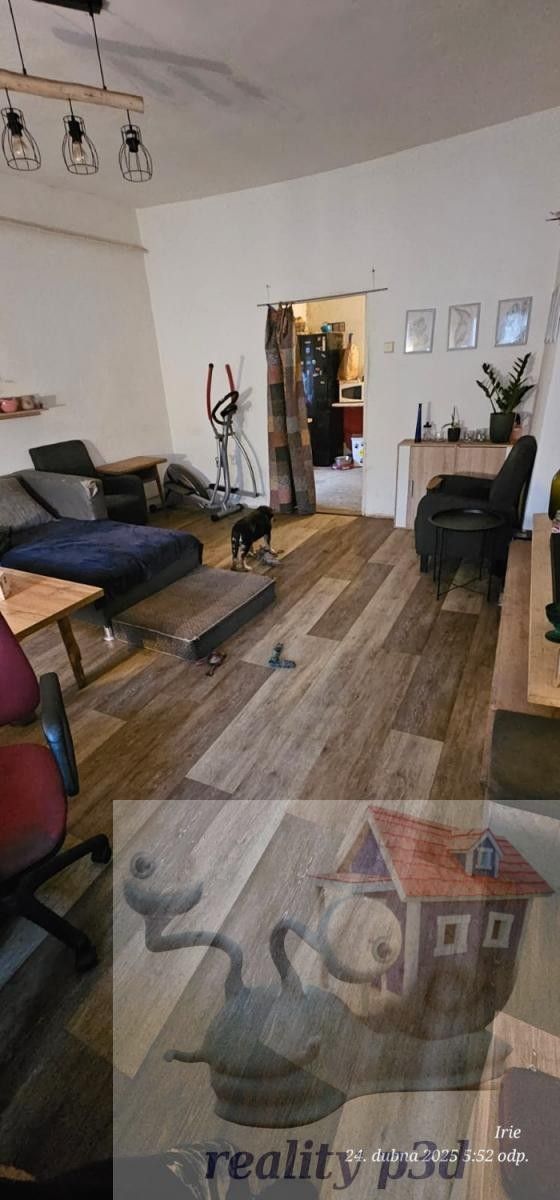 Prodej nemovitosti 409 m² - foto 16