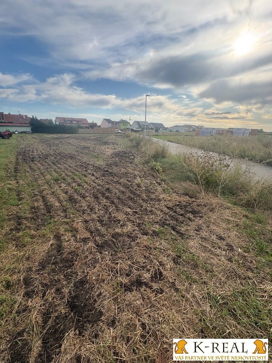 Prodej pozemku 1320 m² - foto 5