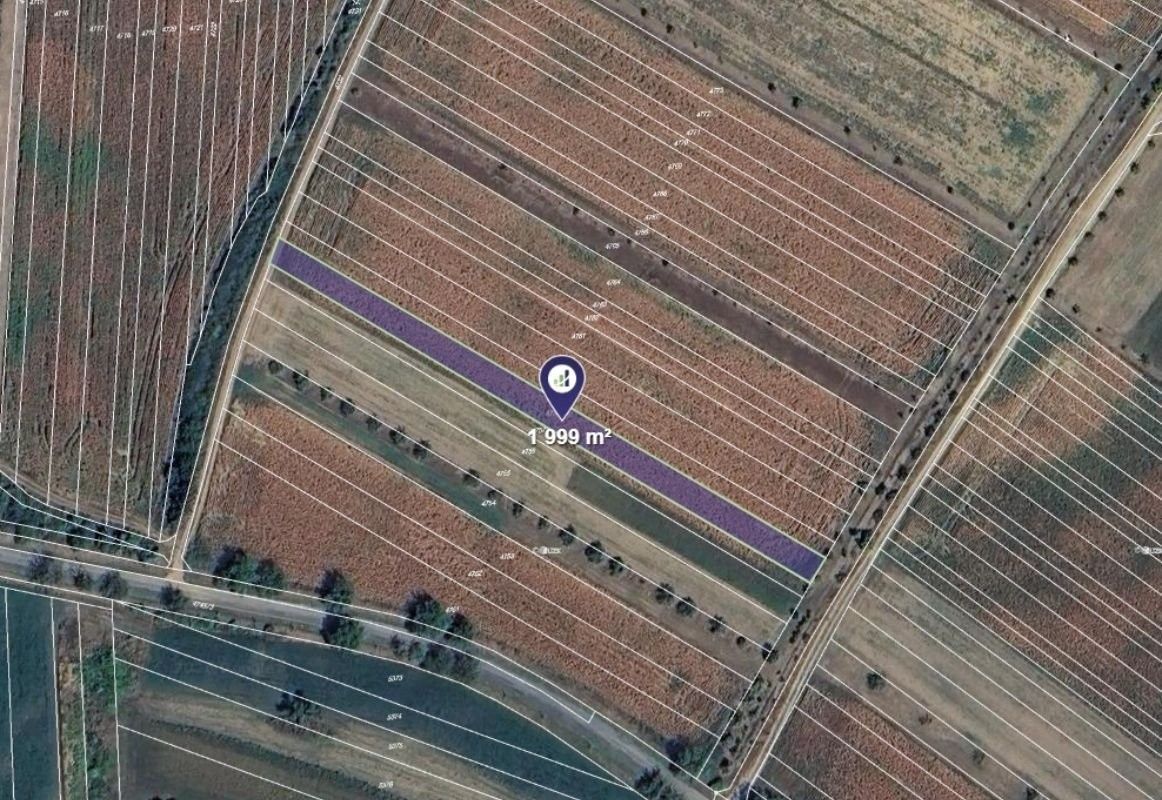 Prodej pozemku 1000 m² - foto 1