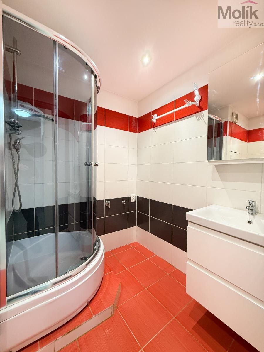 Pronájem bytu 2+1 49 m² - foto 10