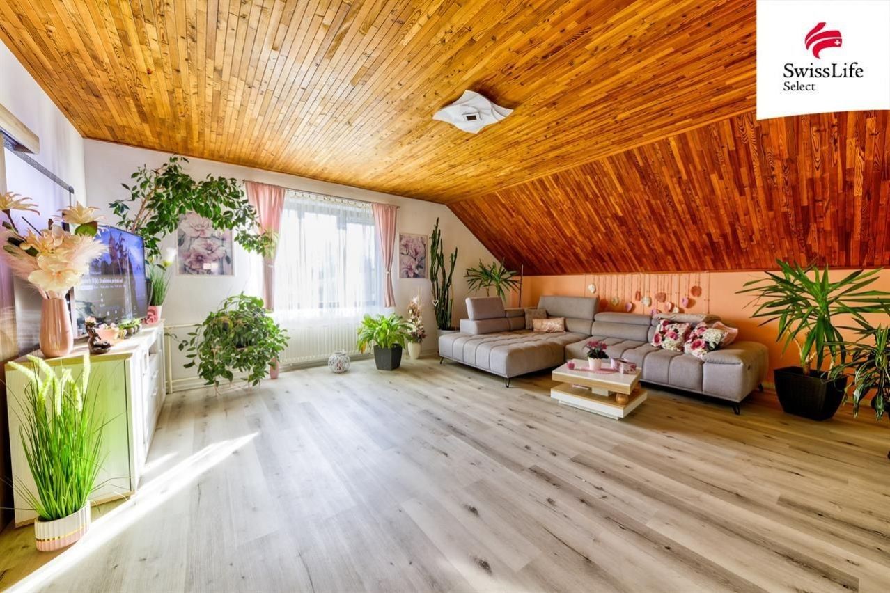 Prodej komerčního prostoru 338 m² - foto 4
