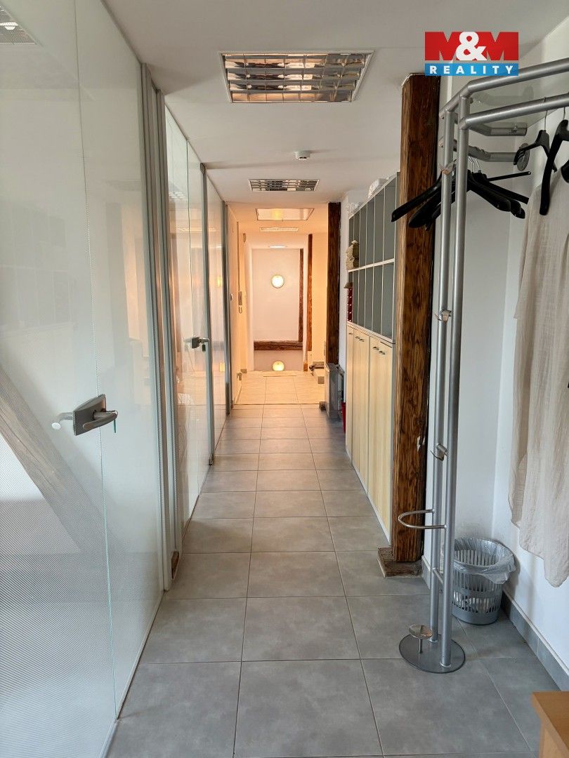 Pronájem komerčního prostoru 116 m² - foto 6