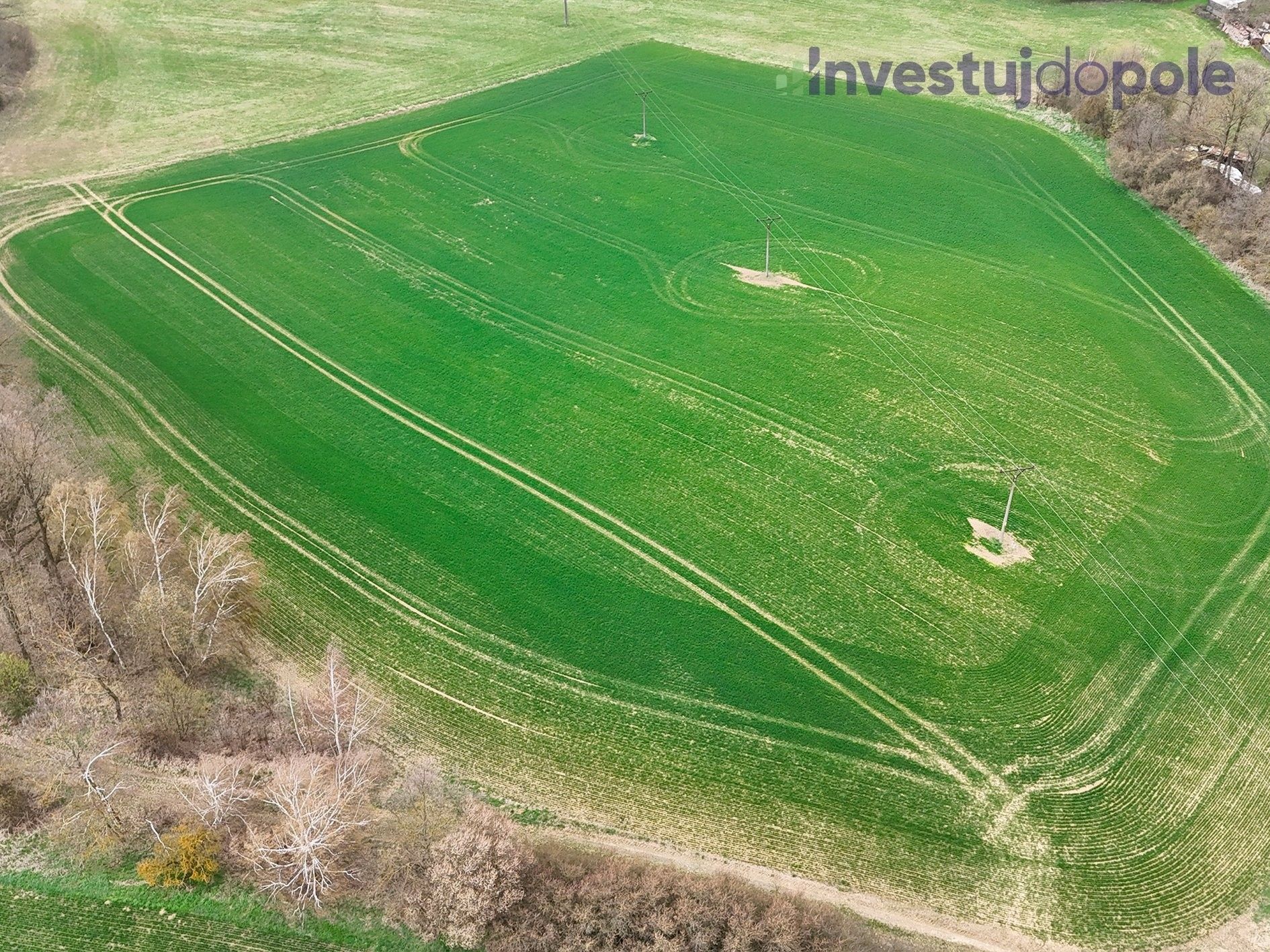 Prodej pozemku 5293 m² - foto 4