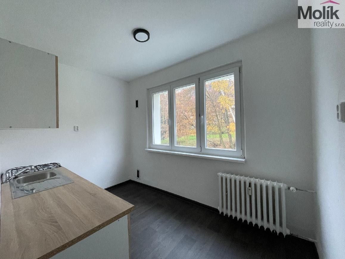 Pronájem bytu 2+1 55 m² - foto 3