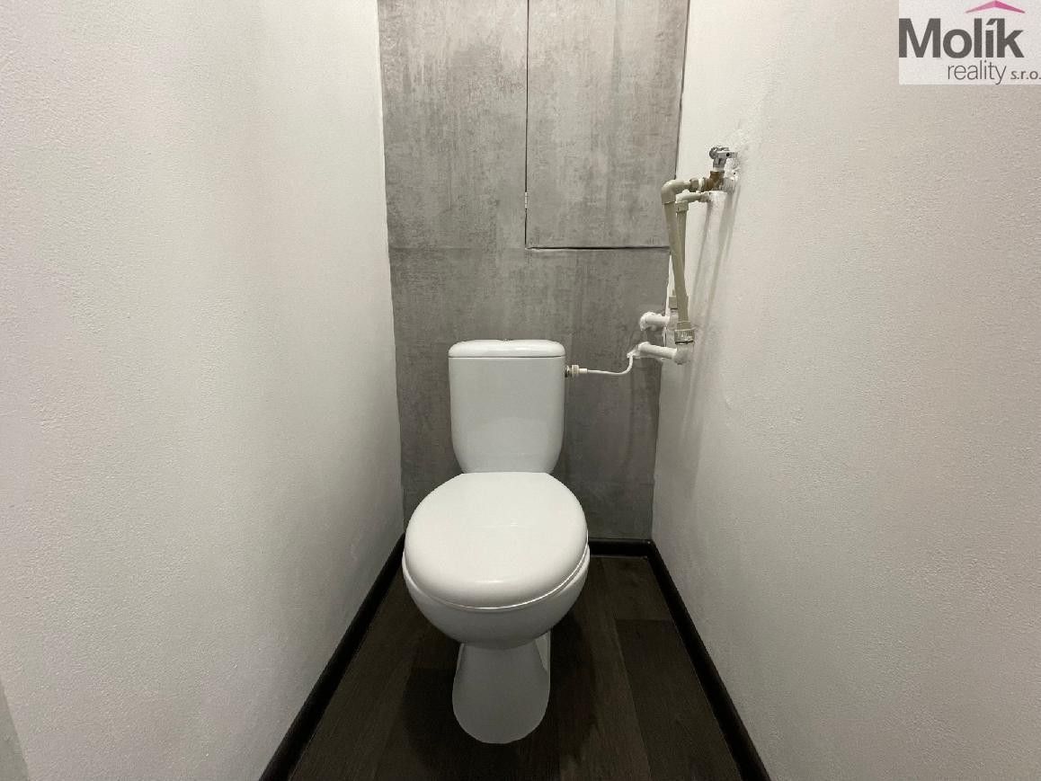 Pronájem bytu 2+1 55 m² - foto 12