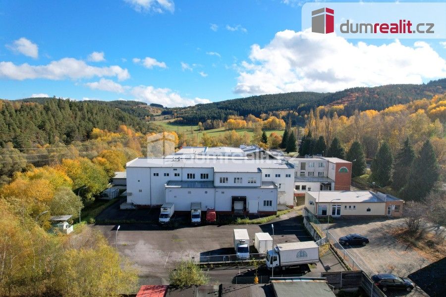 Prodej komerčního prostoru 22351 m² - foto 4