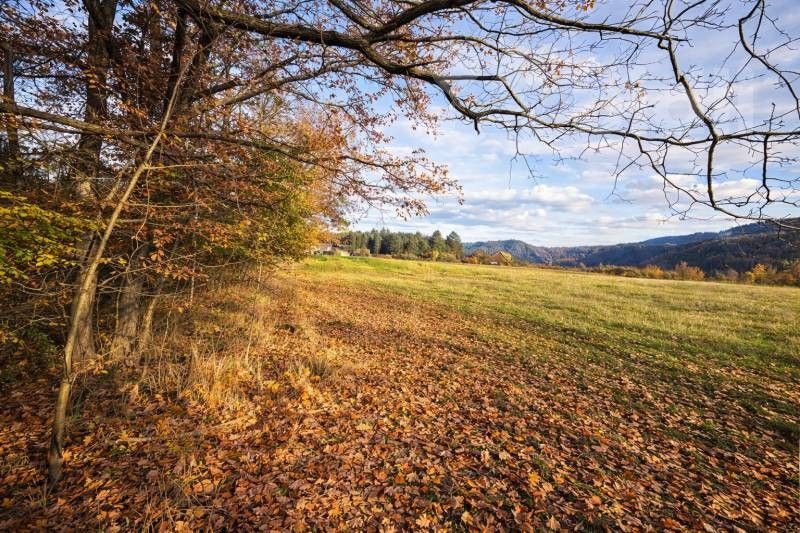 Prodej nemovitosti - foto 5