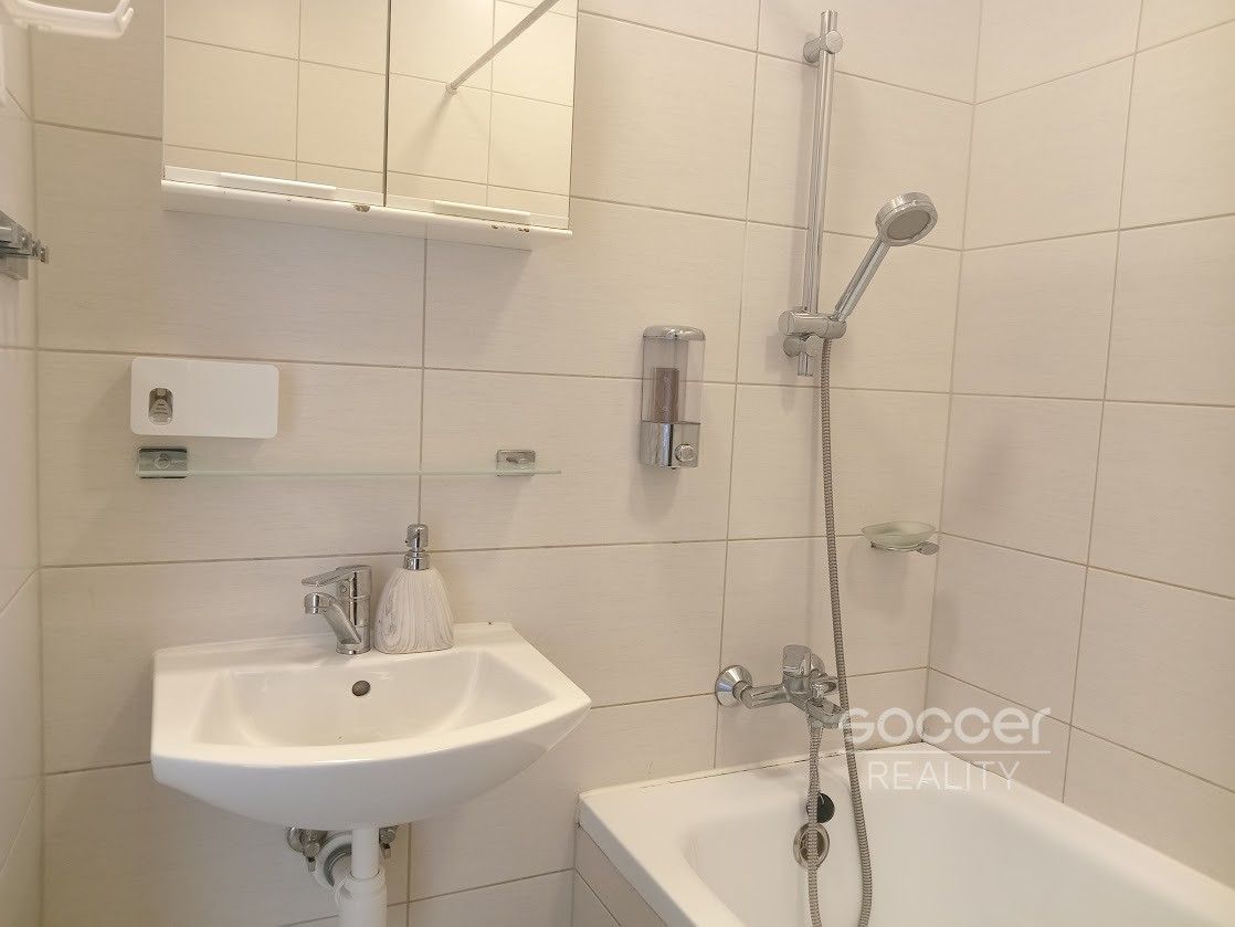 Pronájem bytu 2+1 52 m² - foto 12