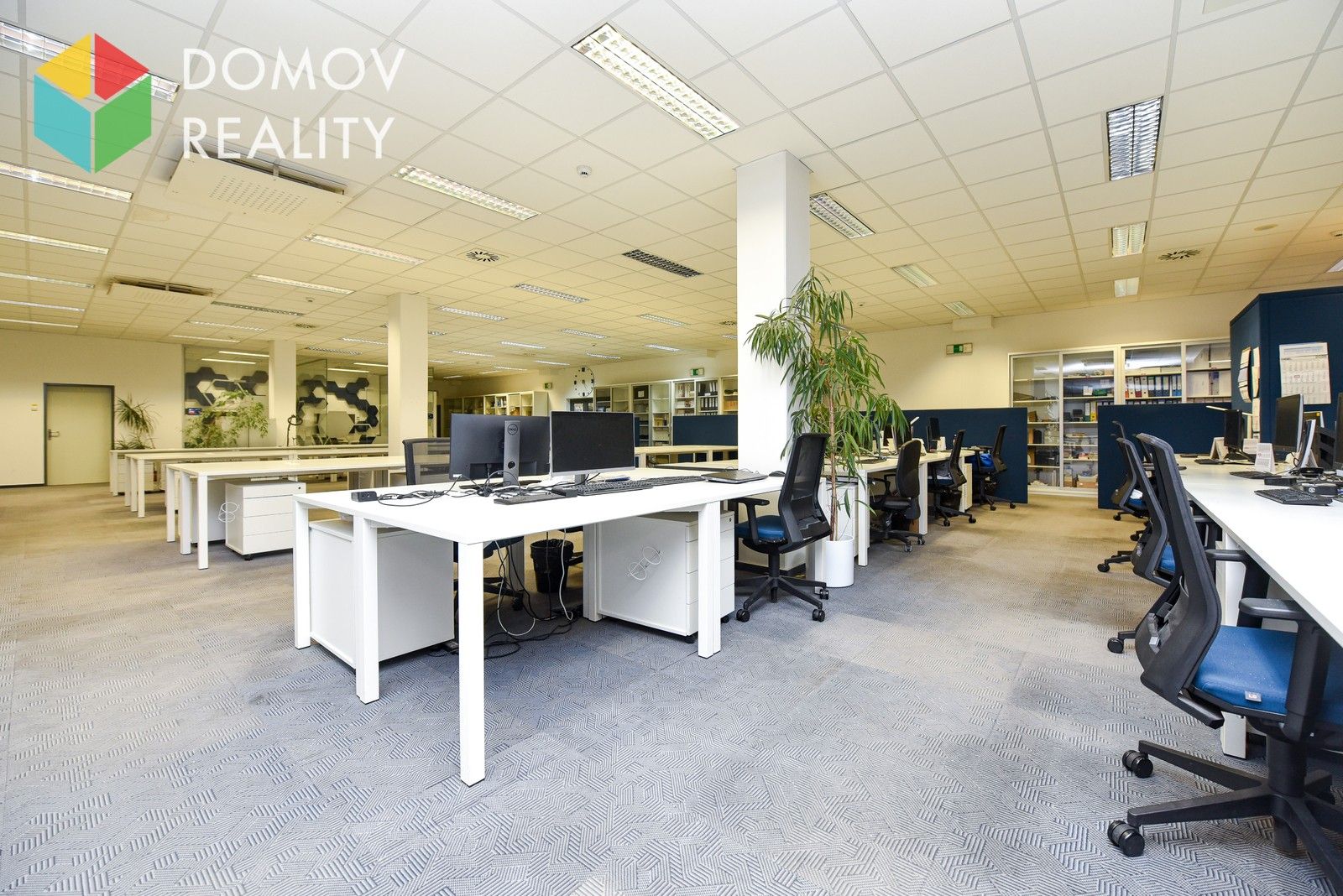 Pronájem komerčního prostoru 525 m² - foto 5