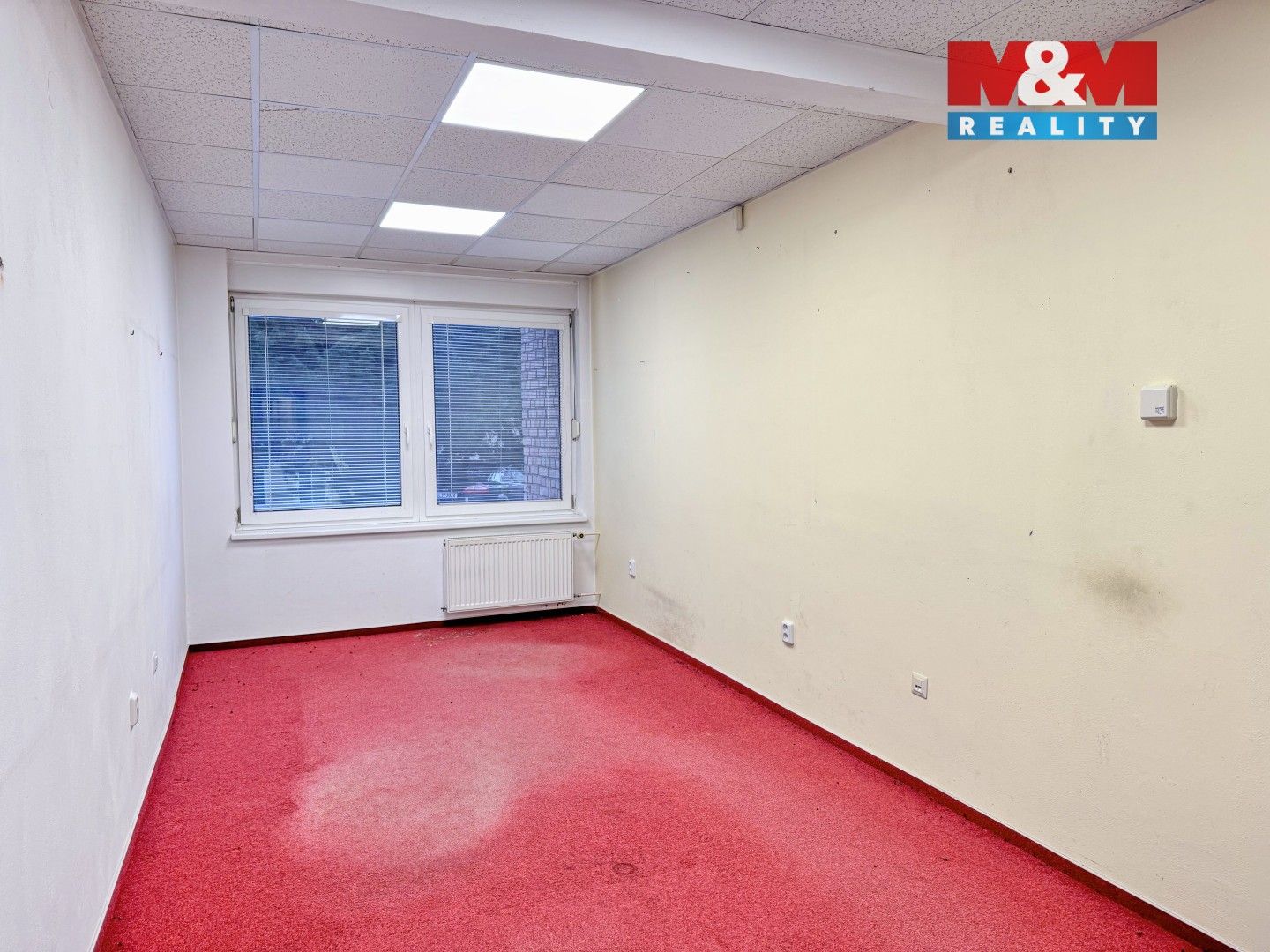 Pronájem komerčního prostoru 260 m² - foto 8