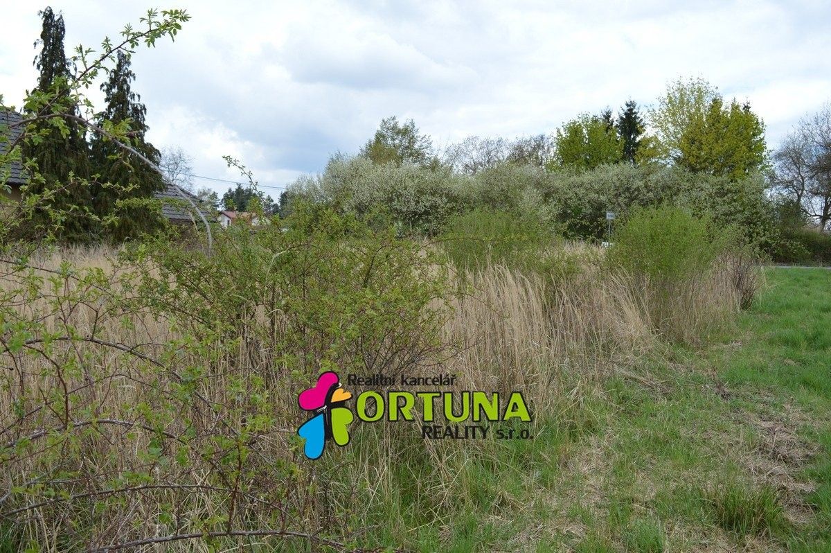 Prodej pozemku 5887 m² - foto 5