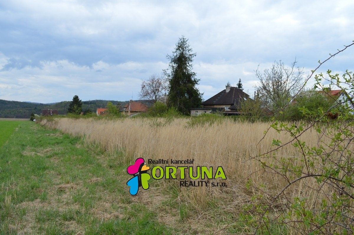 Prodej pozemku 5887 m² - foto 4