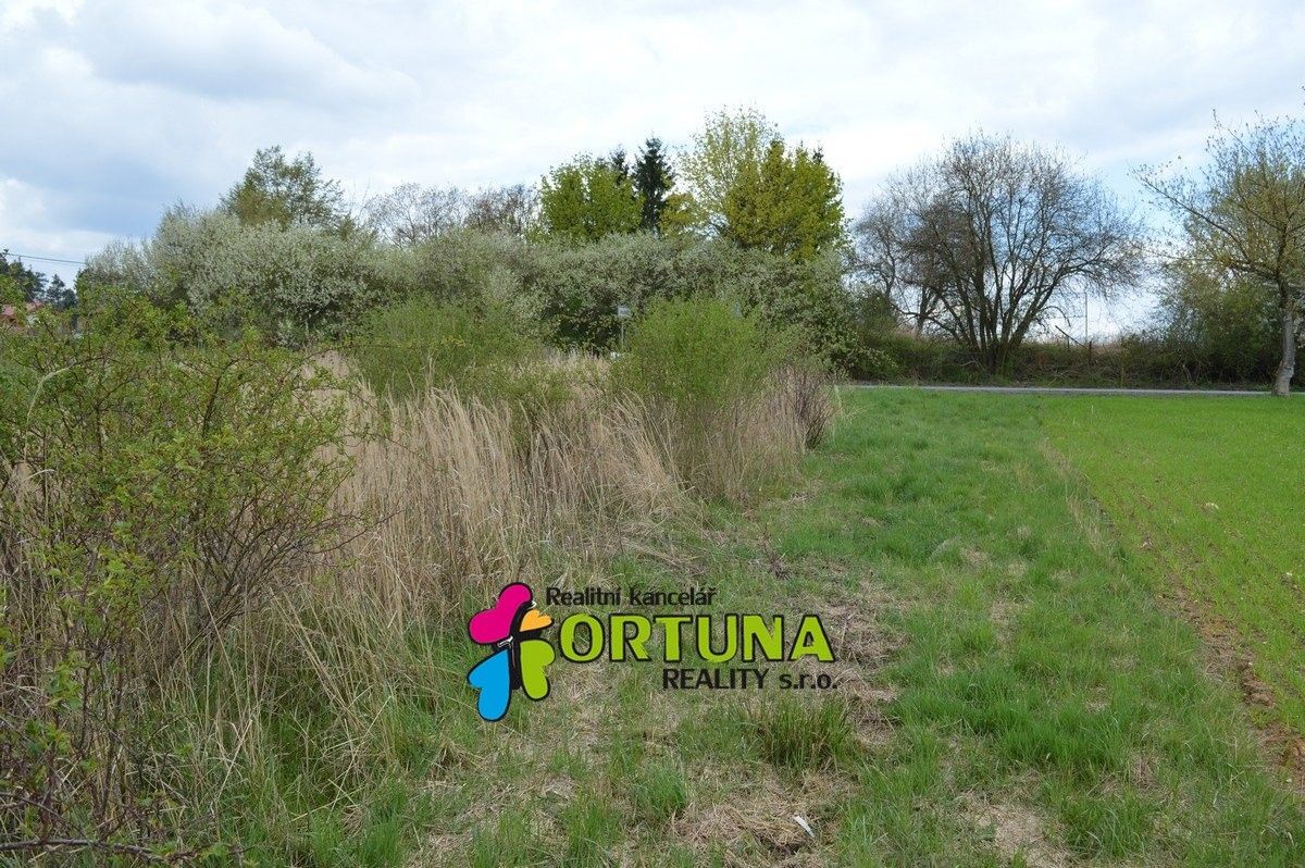 Prodej pozemku 5887 m² - foto 6