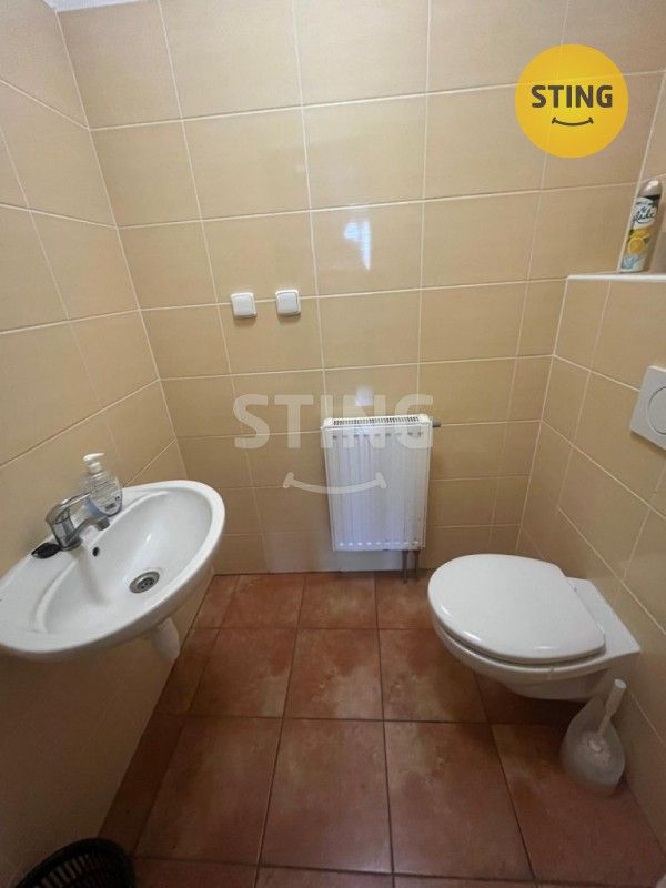 Pronájem komerčního prostoru 750 m² - foto 12