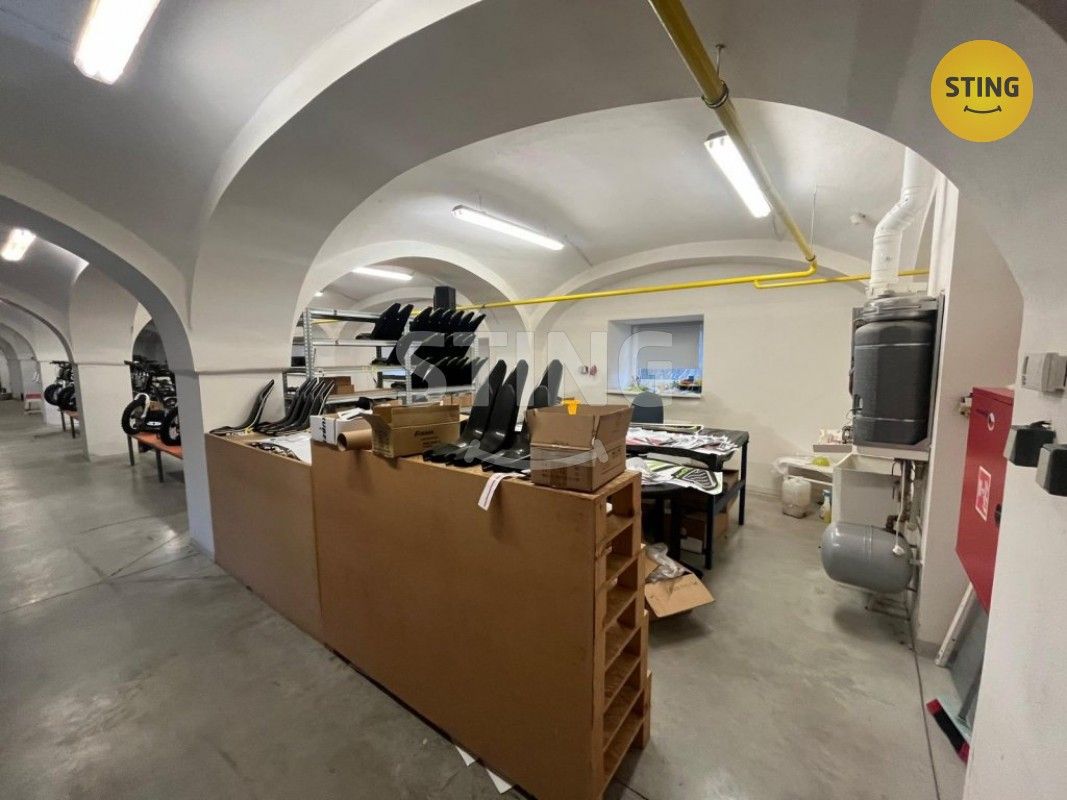 Pronájem komerčního prostoru 750 m² - foto 14