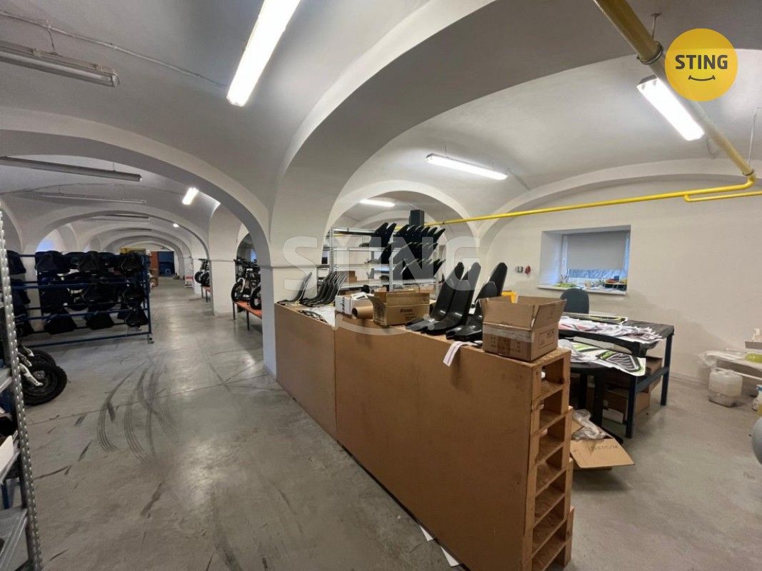 Pronájem komerčního prostoru 500 m² - foto 9