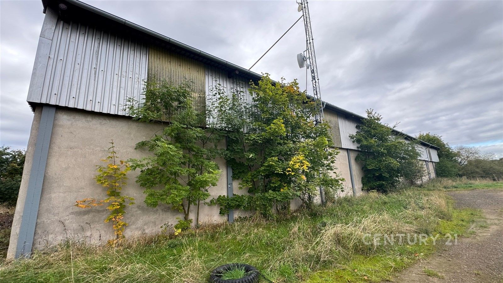 Prodej komerčního prostoru 1262 m² - foto 5
