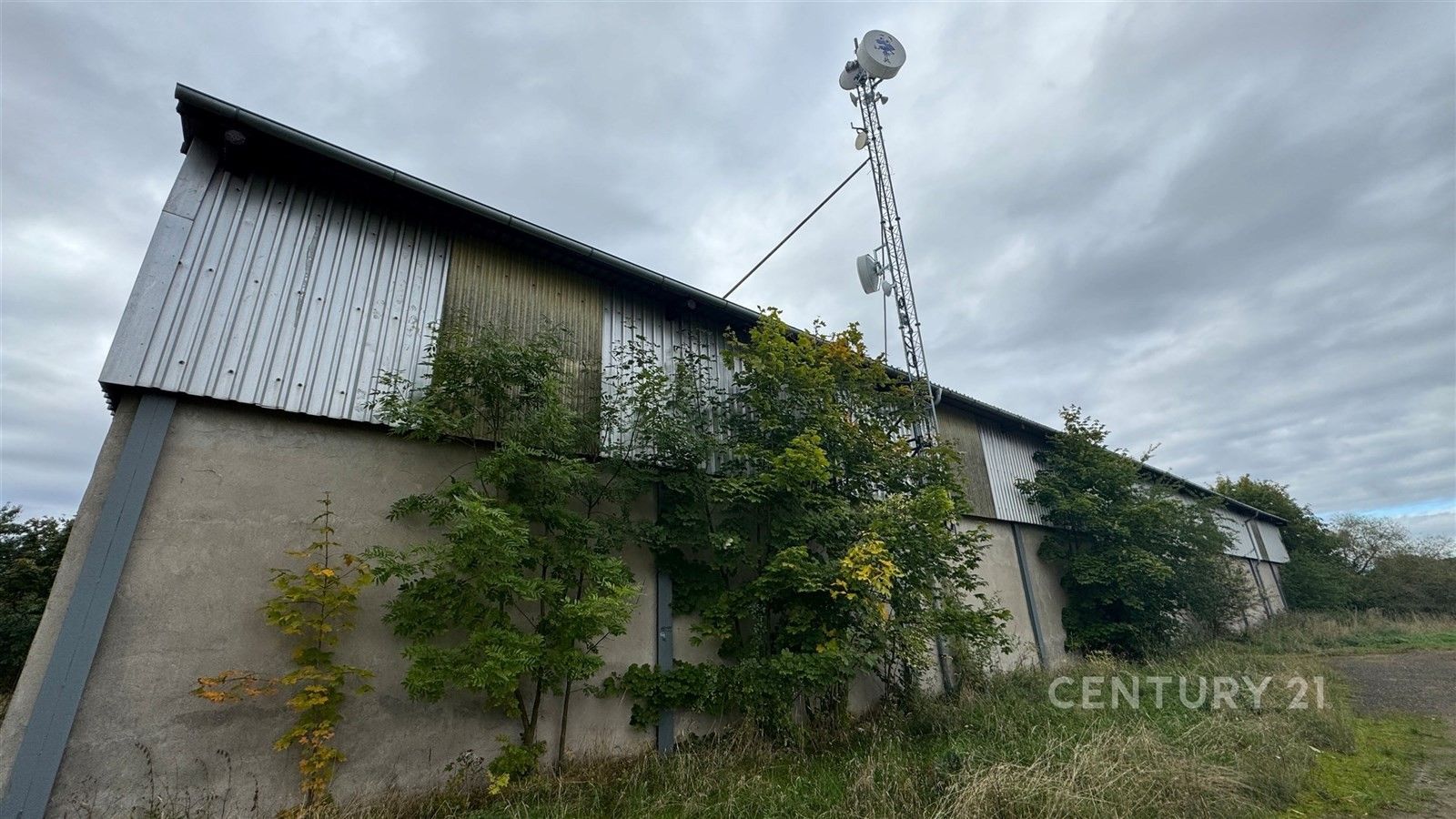 Prodej komerčního prostoru 1262 m² - foto 6